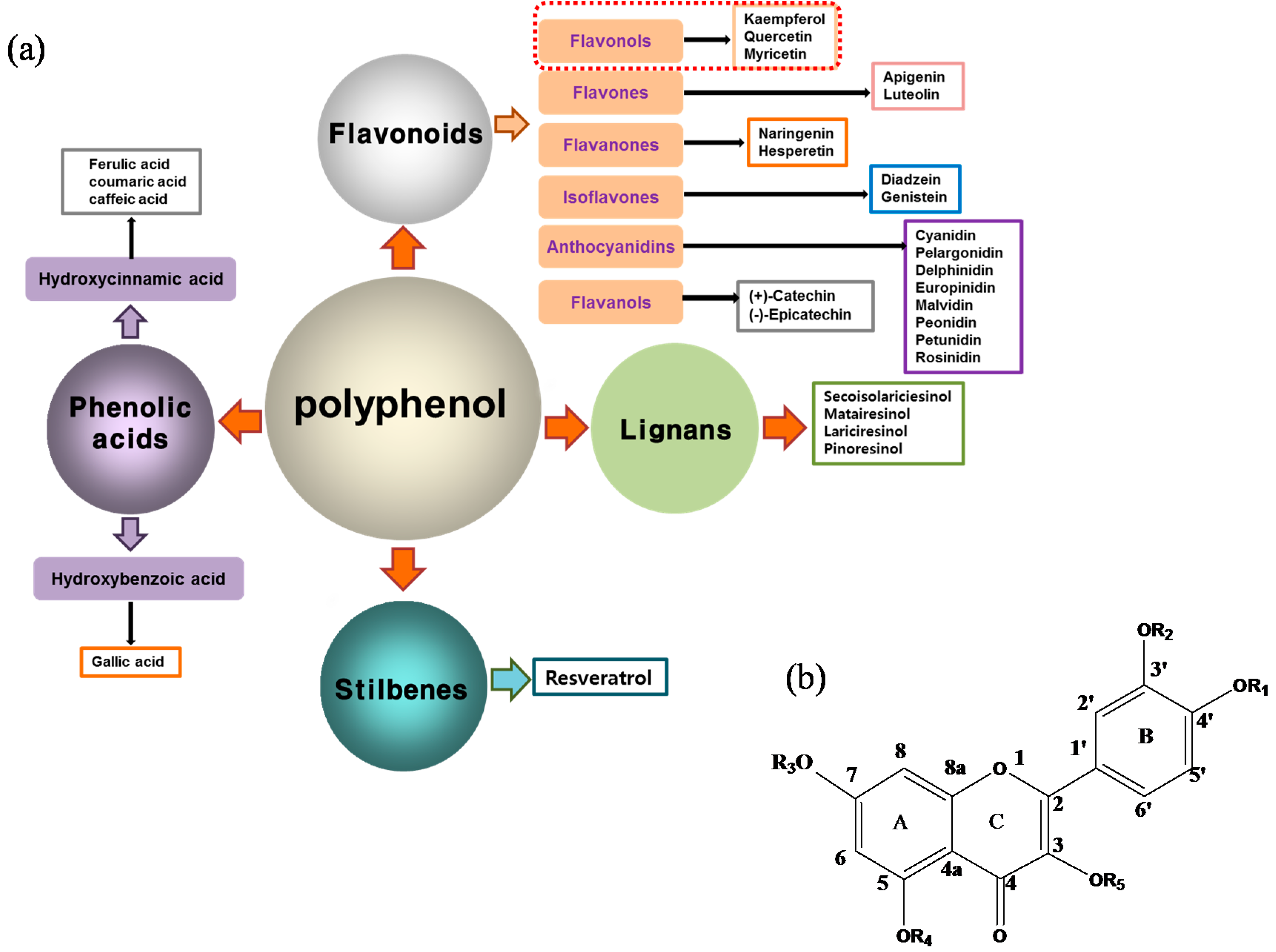 Cosmetics 03 00018 g002