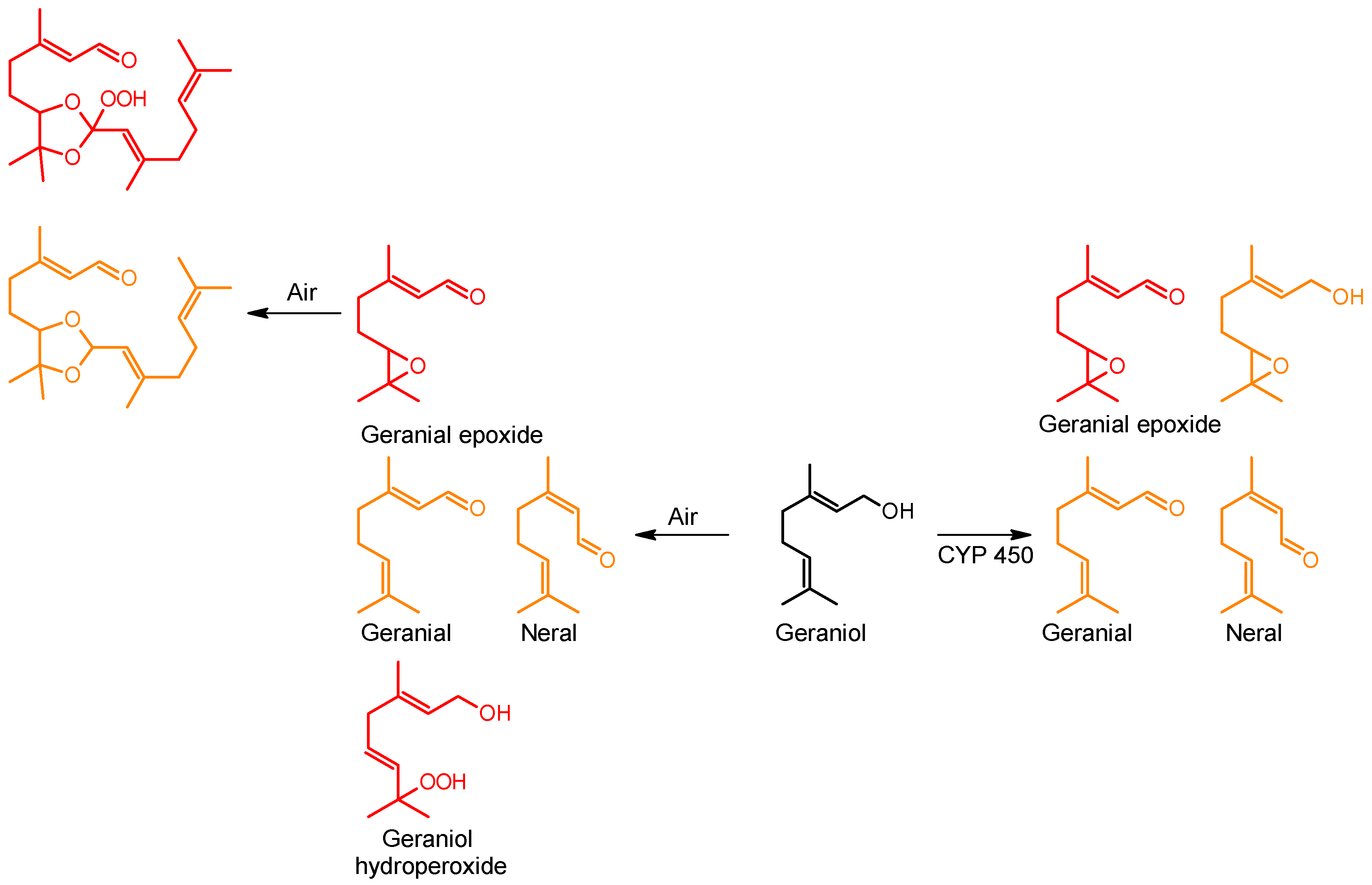 Cosmetics 03 00019 g001