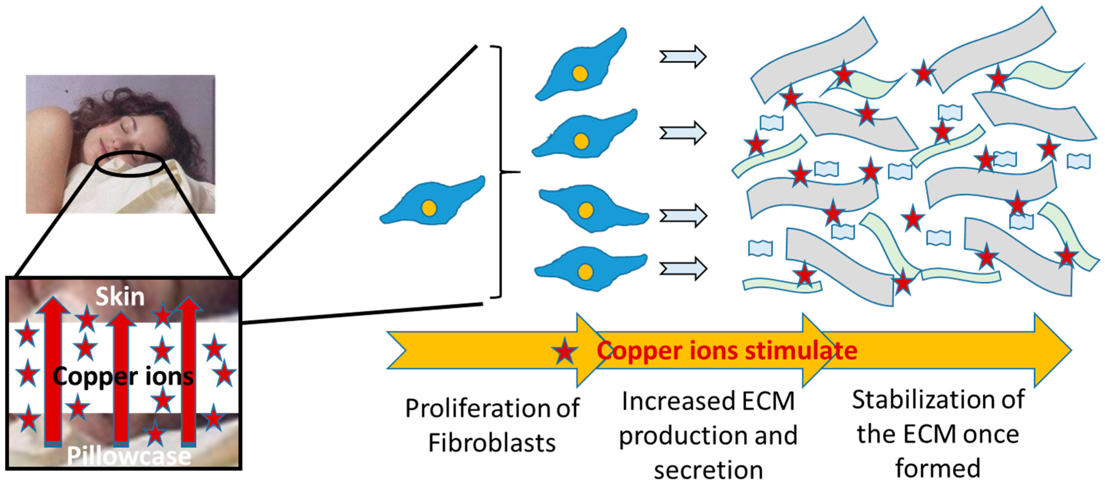 Cosmetics 03 00024 g006