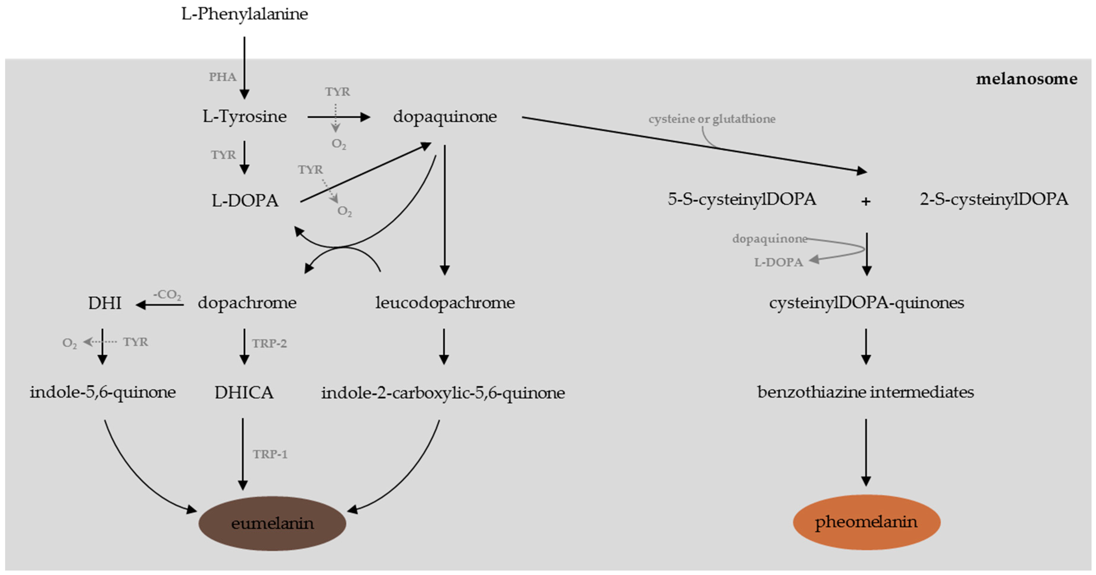 Cosmetics 03 00036 g001