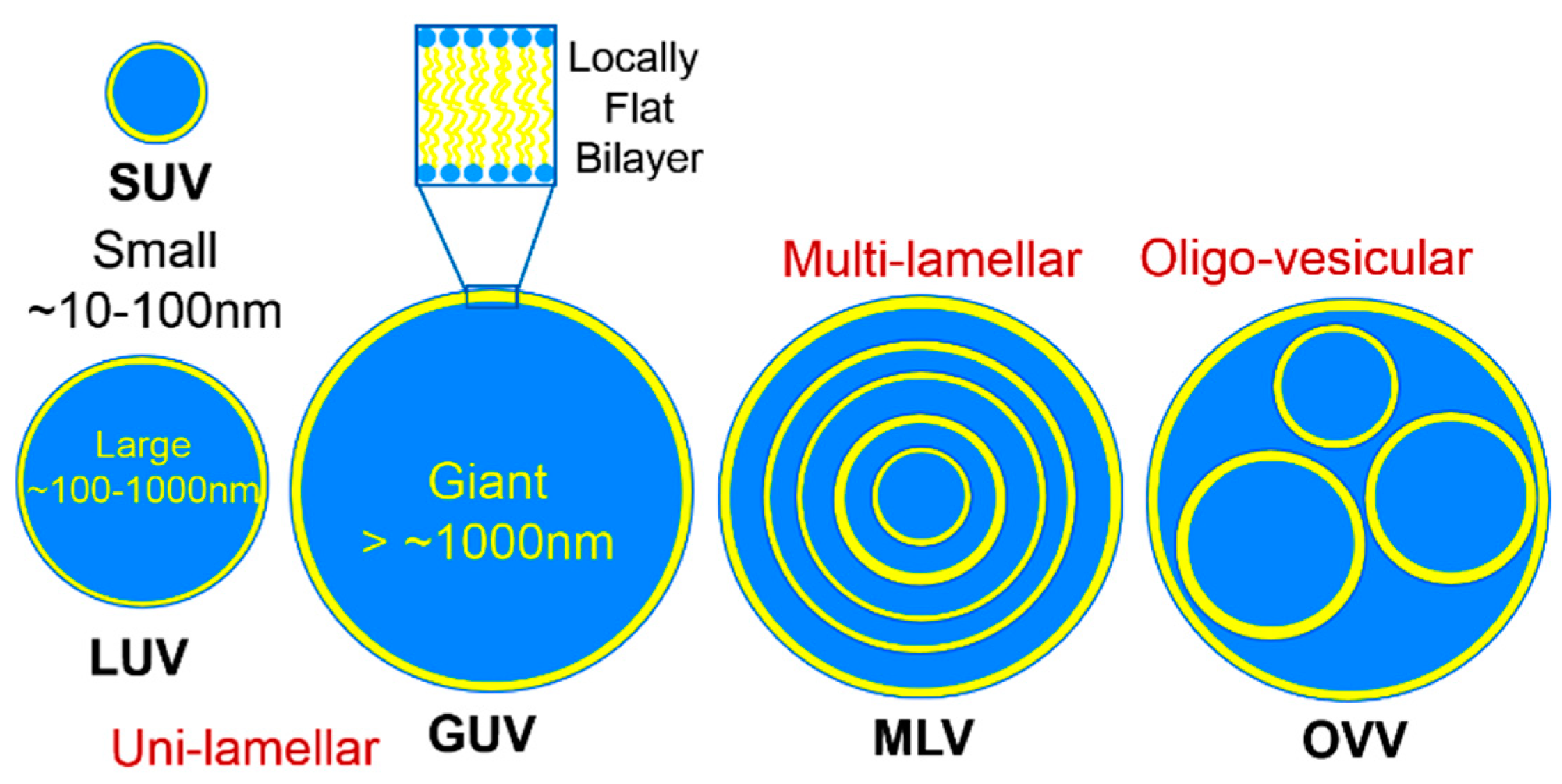 Cosmetics 03 00037 g003
