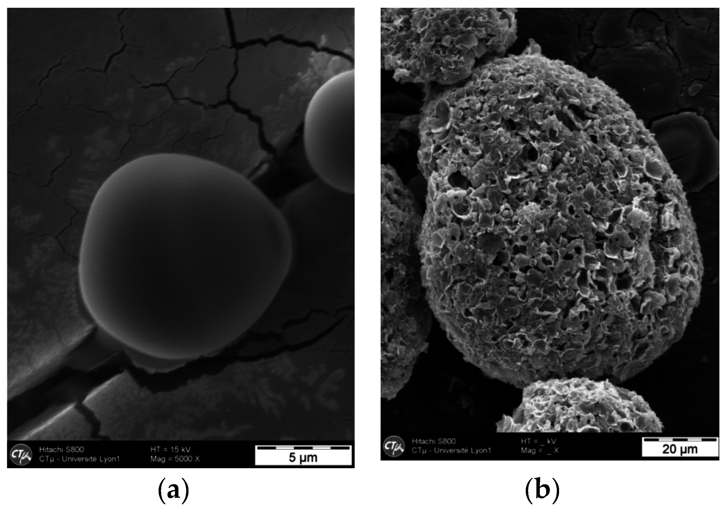 Cosmetics 03 00038 g002