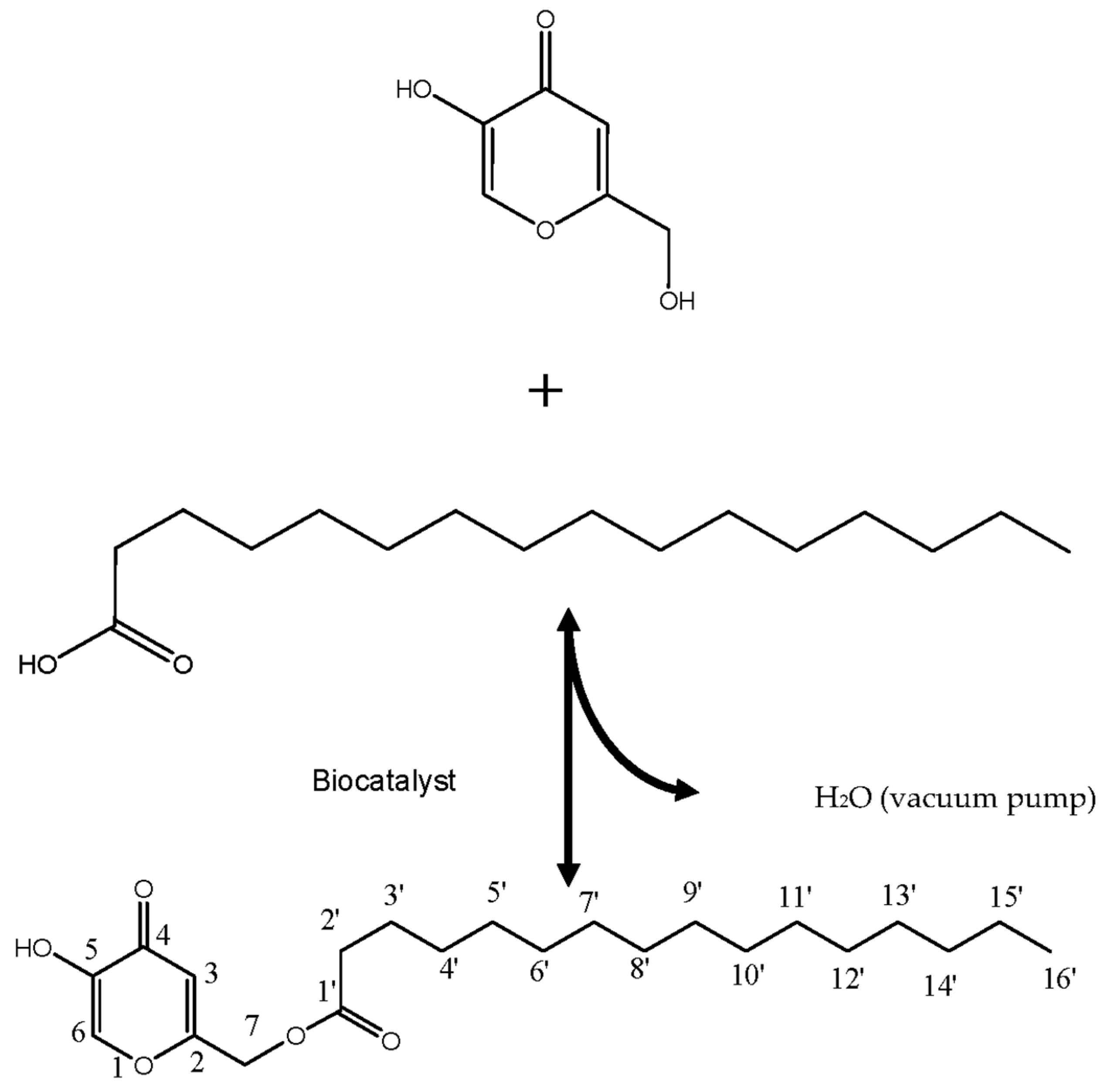 Cosmetics 04 00022 g006