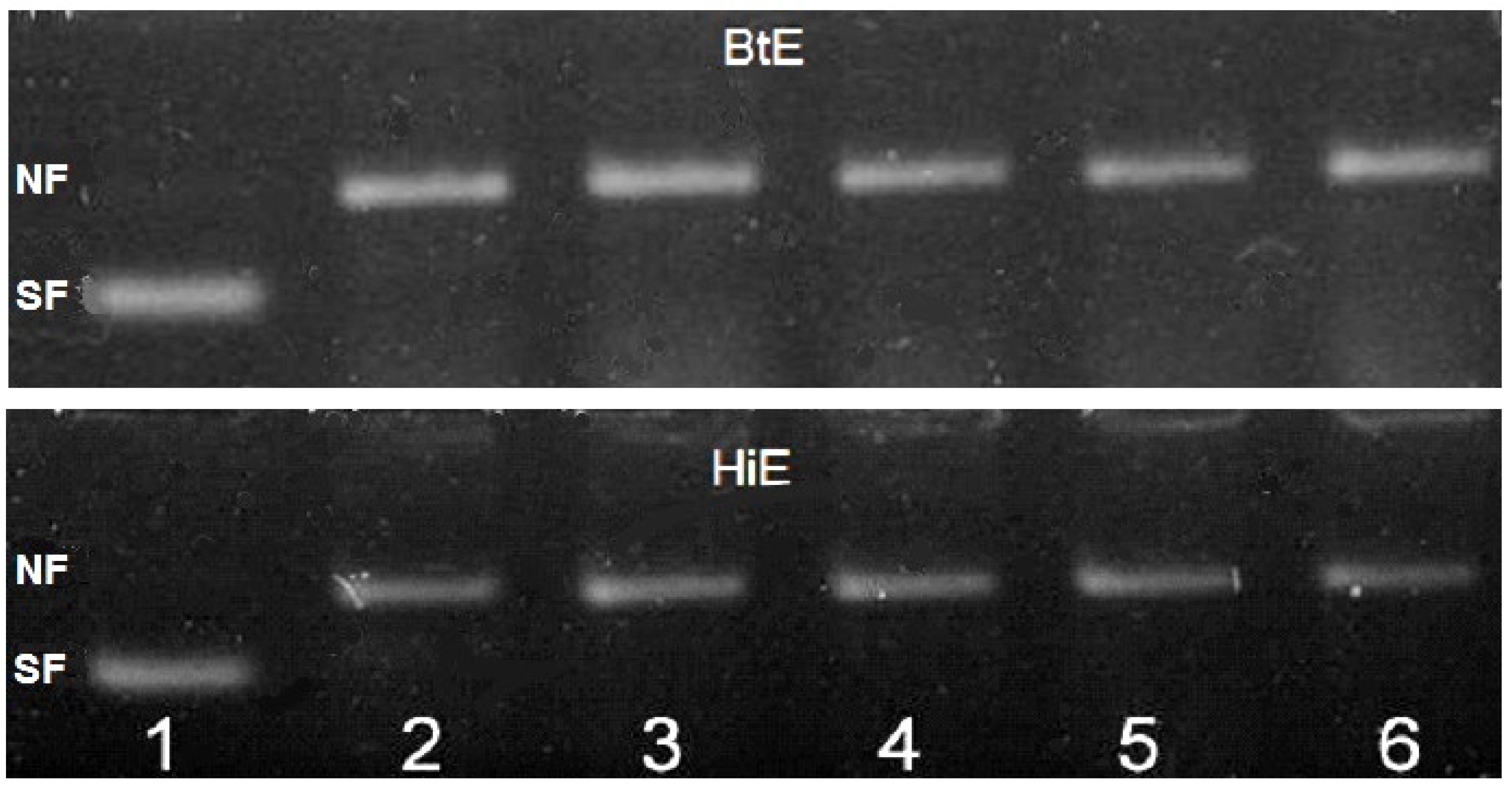 Cosmetics 04 00023 g004