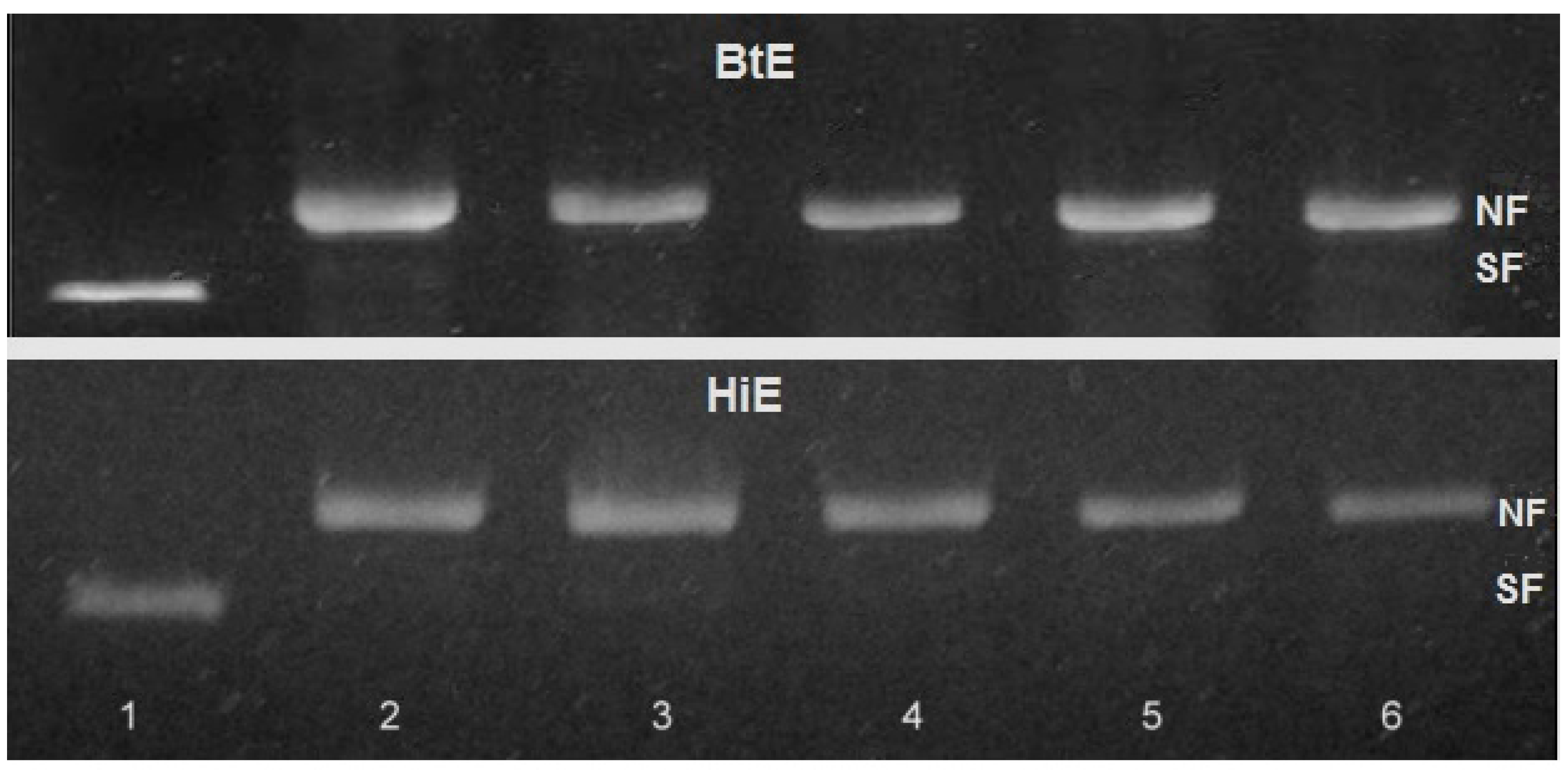 Cosmetics 04 00023 g005