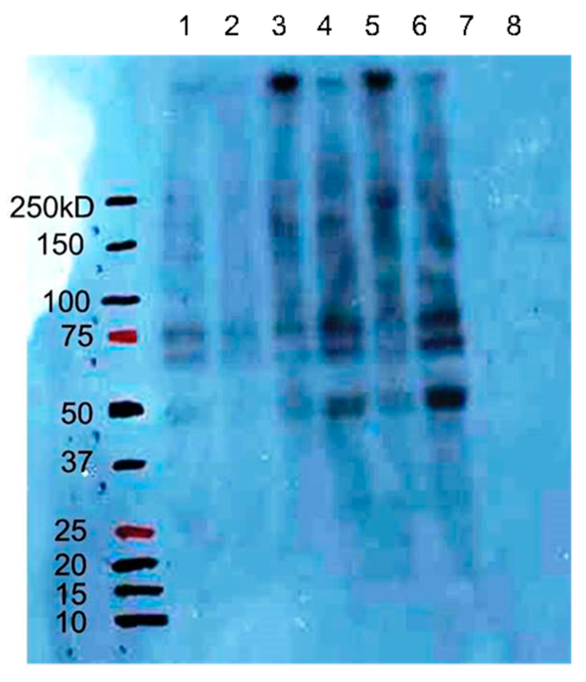 Cosmetics 04 00033 g003