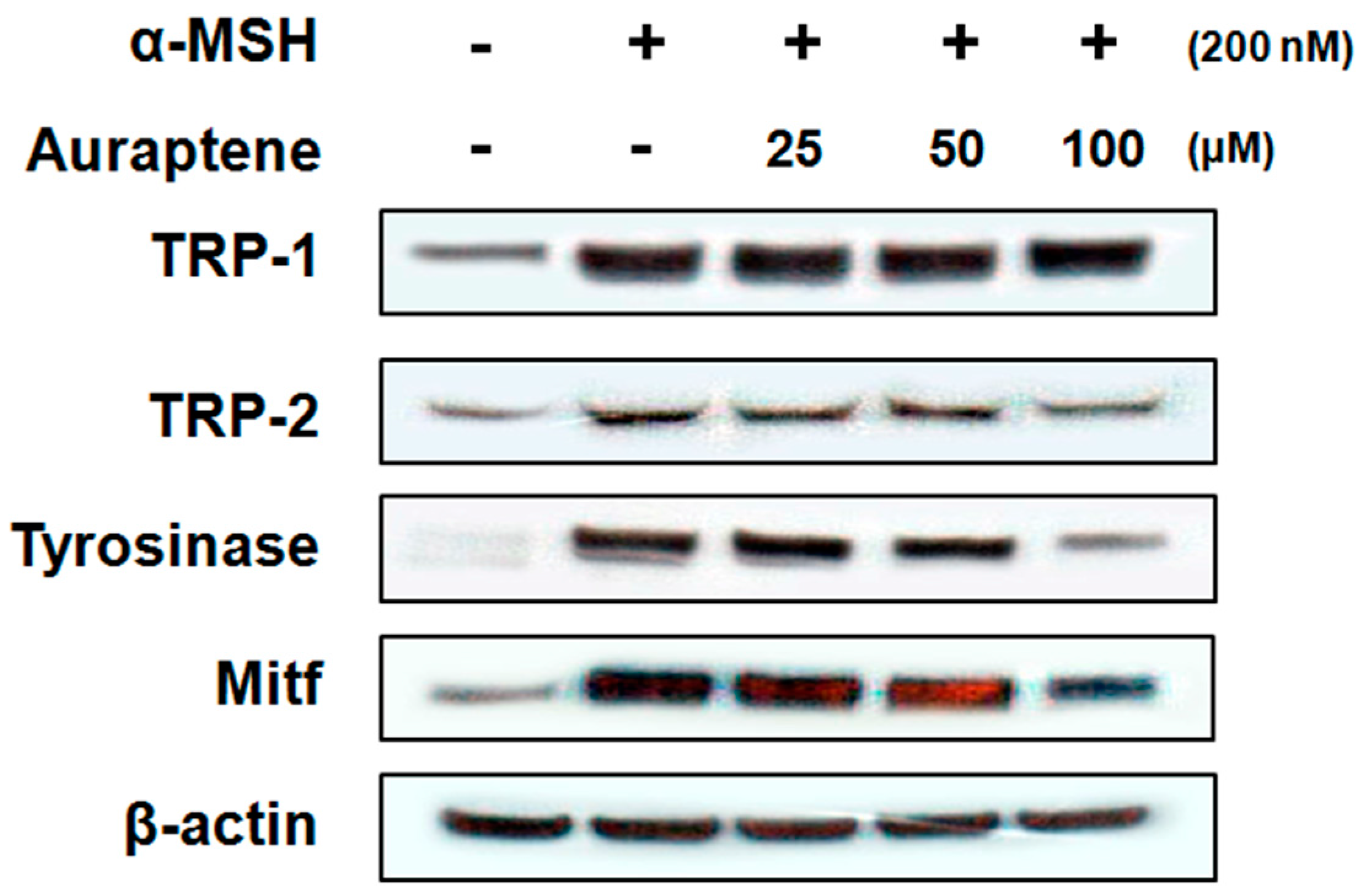 Cosmetics 04 00034 g003