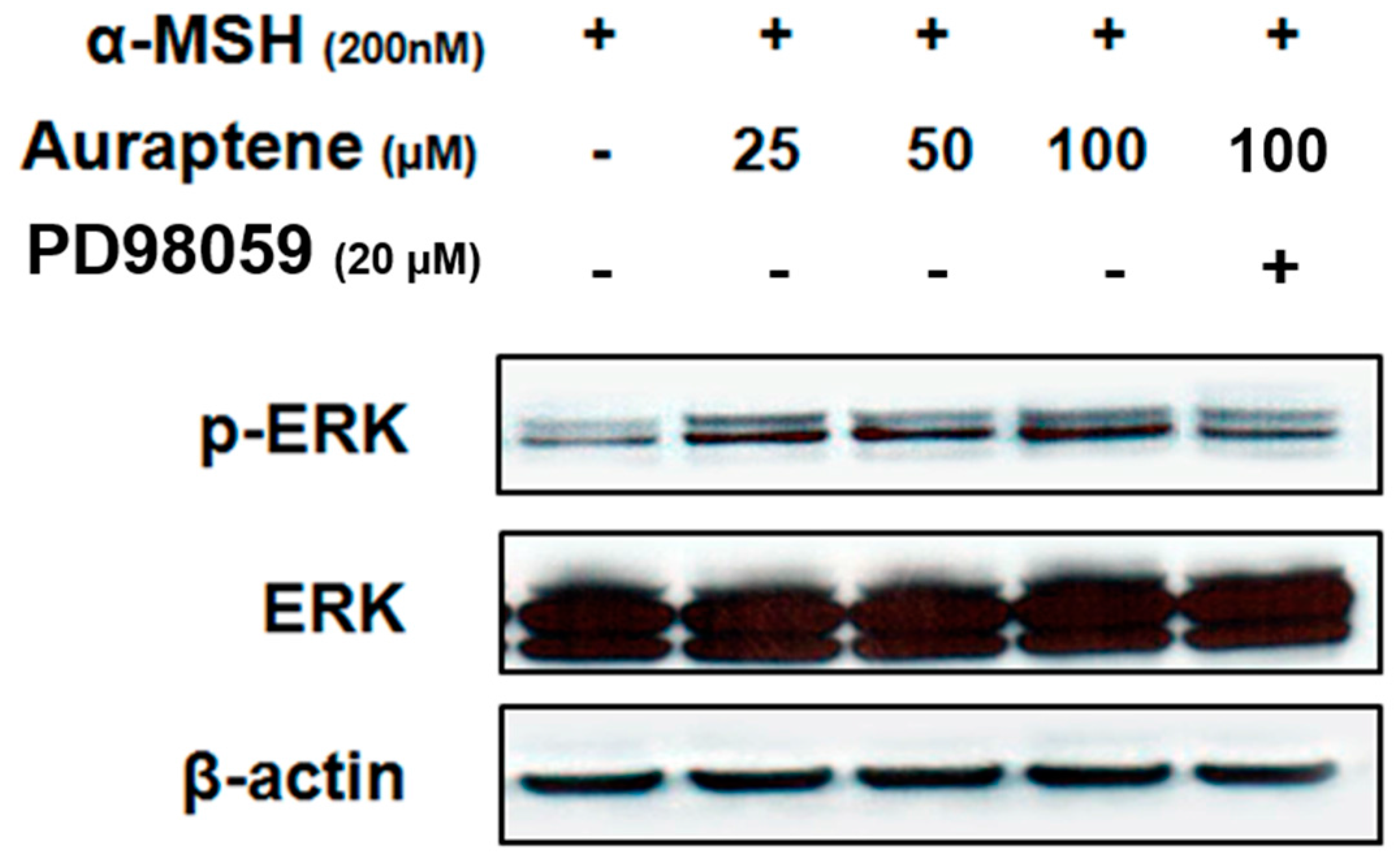 Cosmetics 04 00034 g004