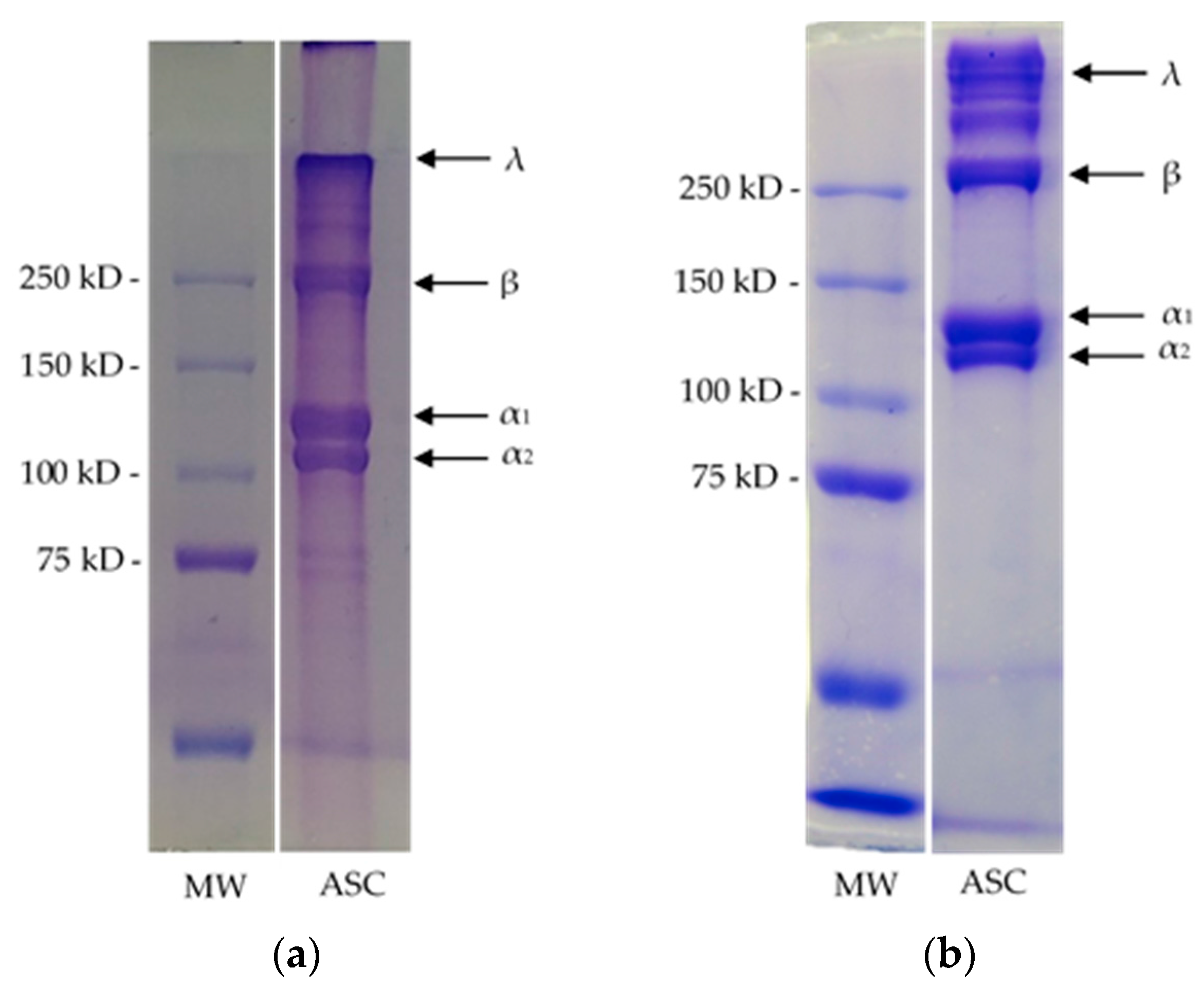 Cosmetics 04 00039 g001