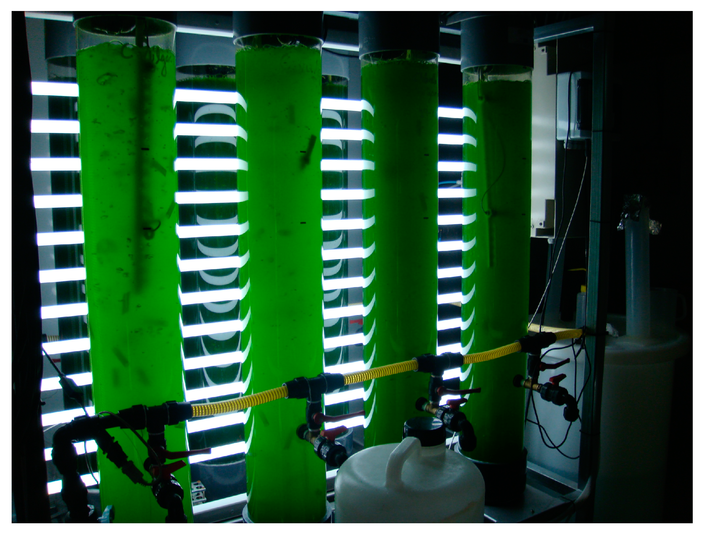 Cosmetics 04 00046 g002