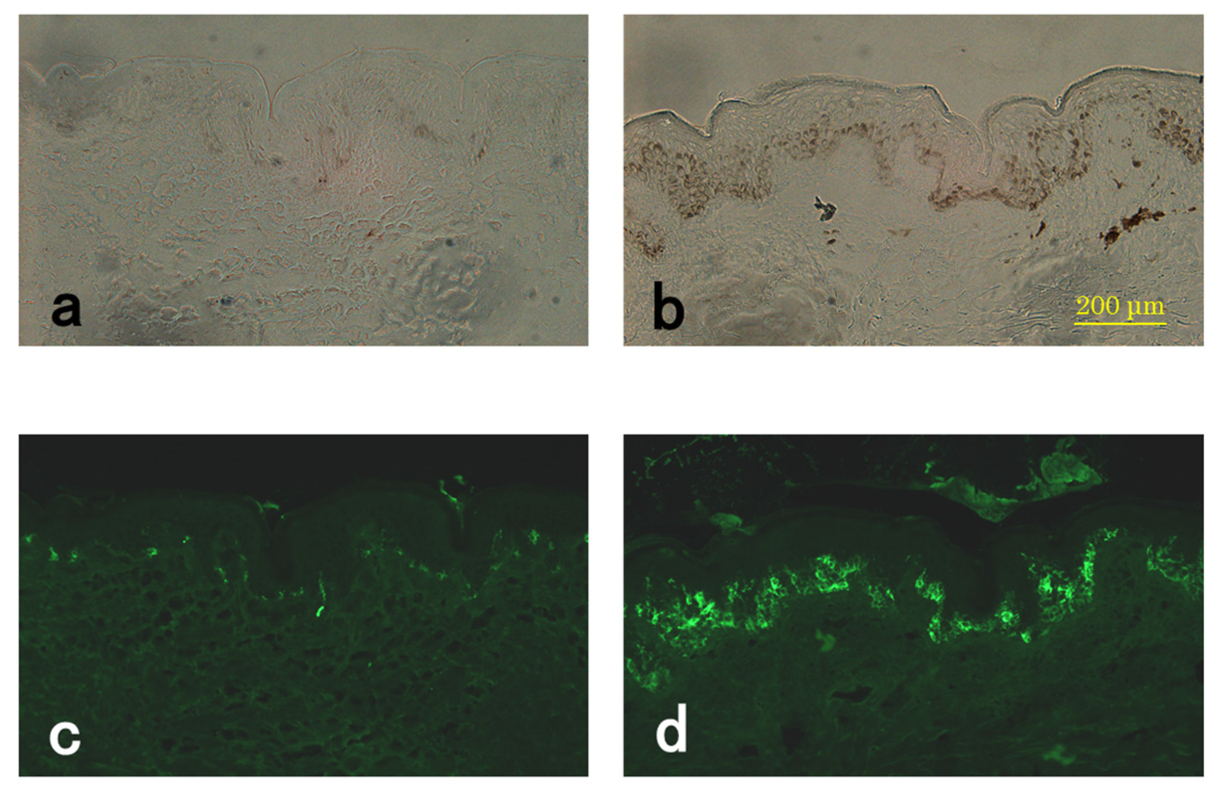 Cosmetics 04 00049 g004
