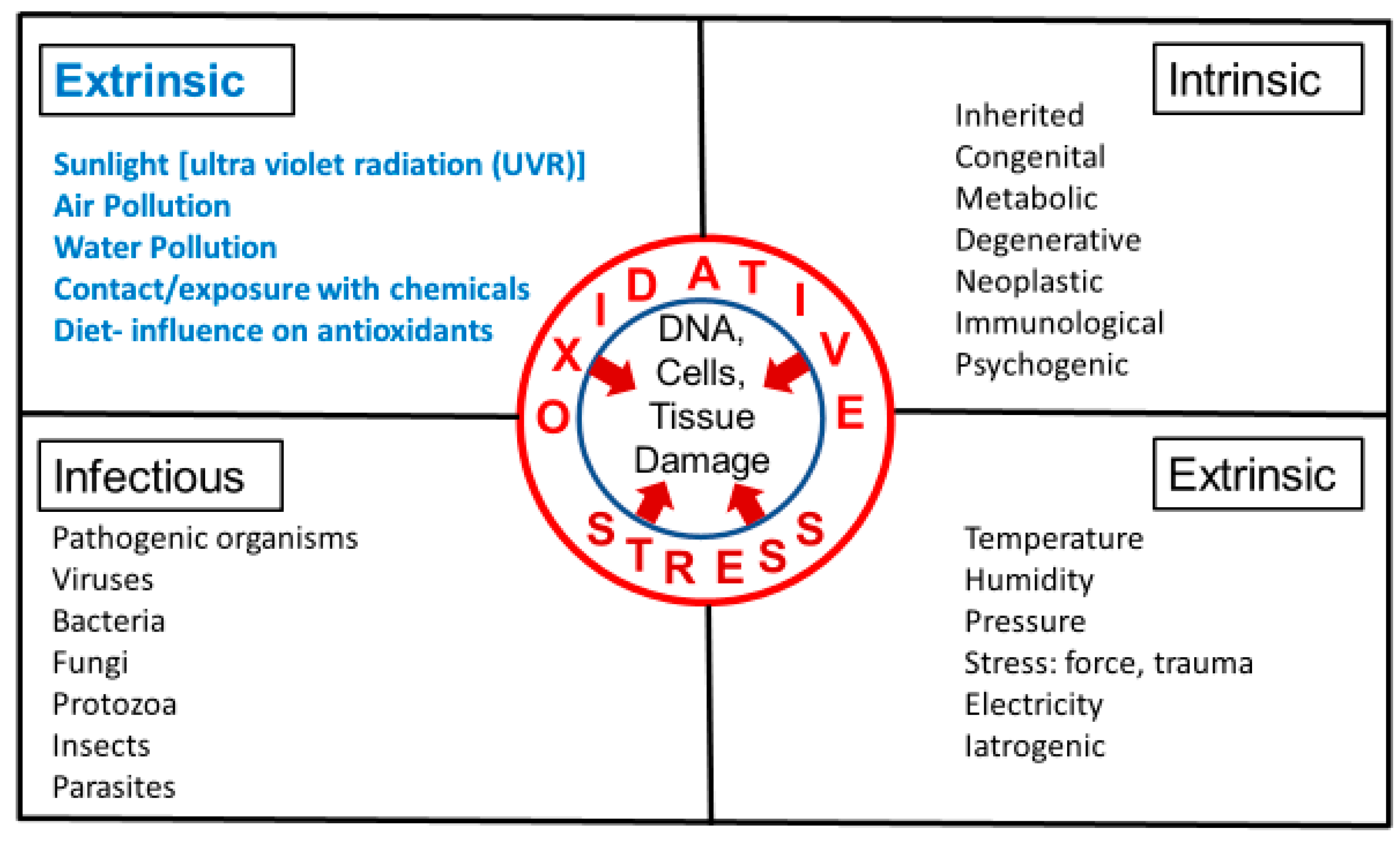 Cosmetics 05 00016 g001