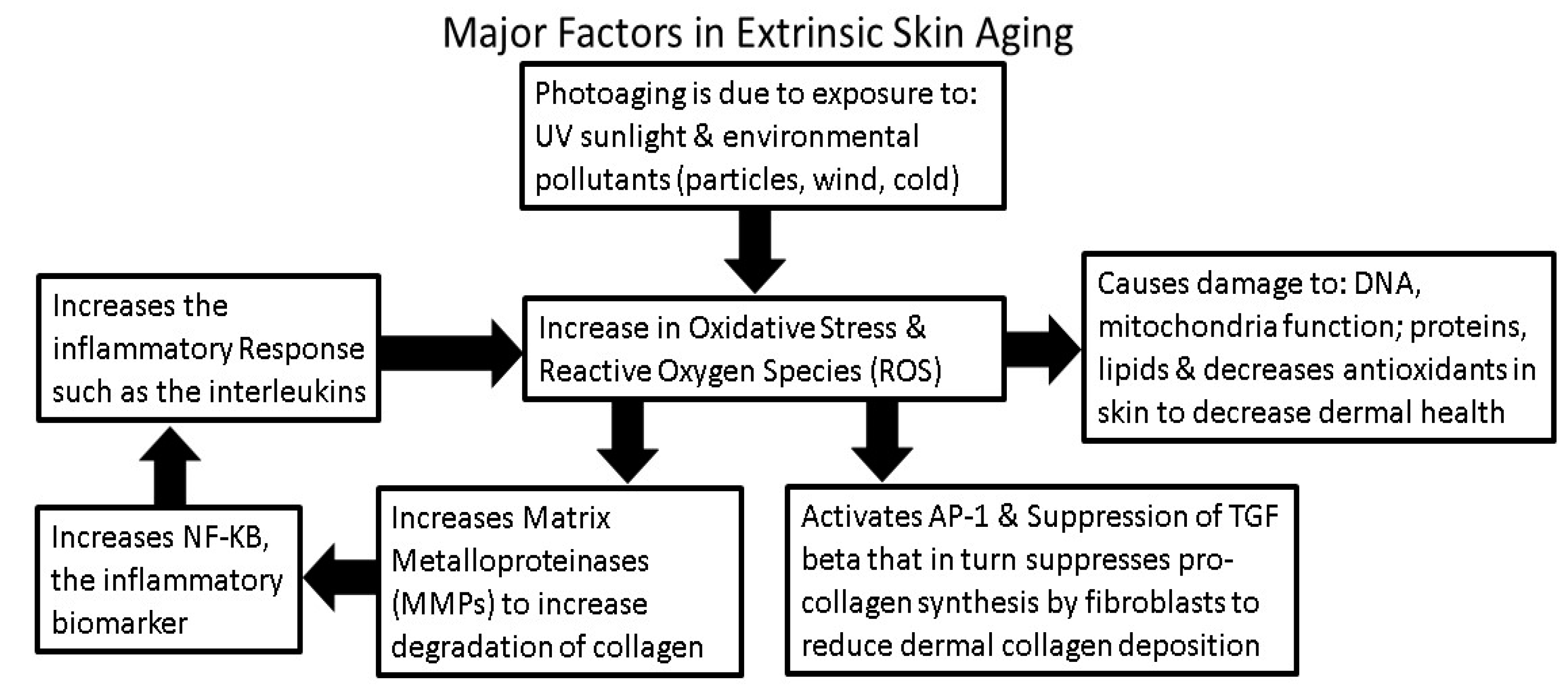 Cosmetics 05 00016 g006