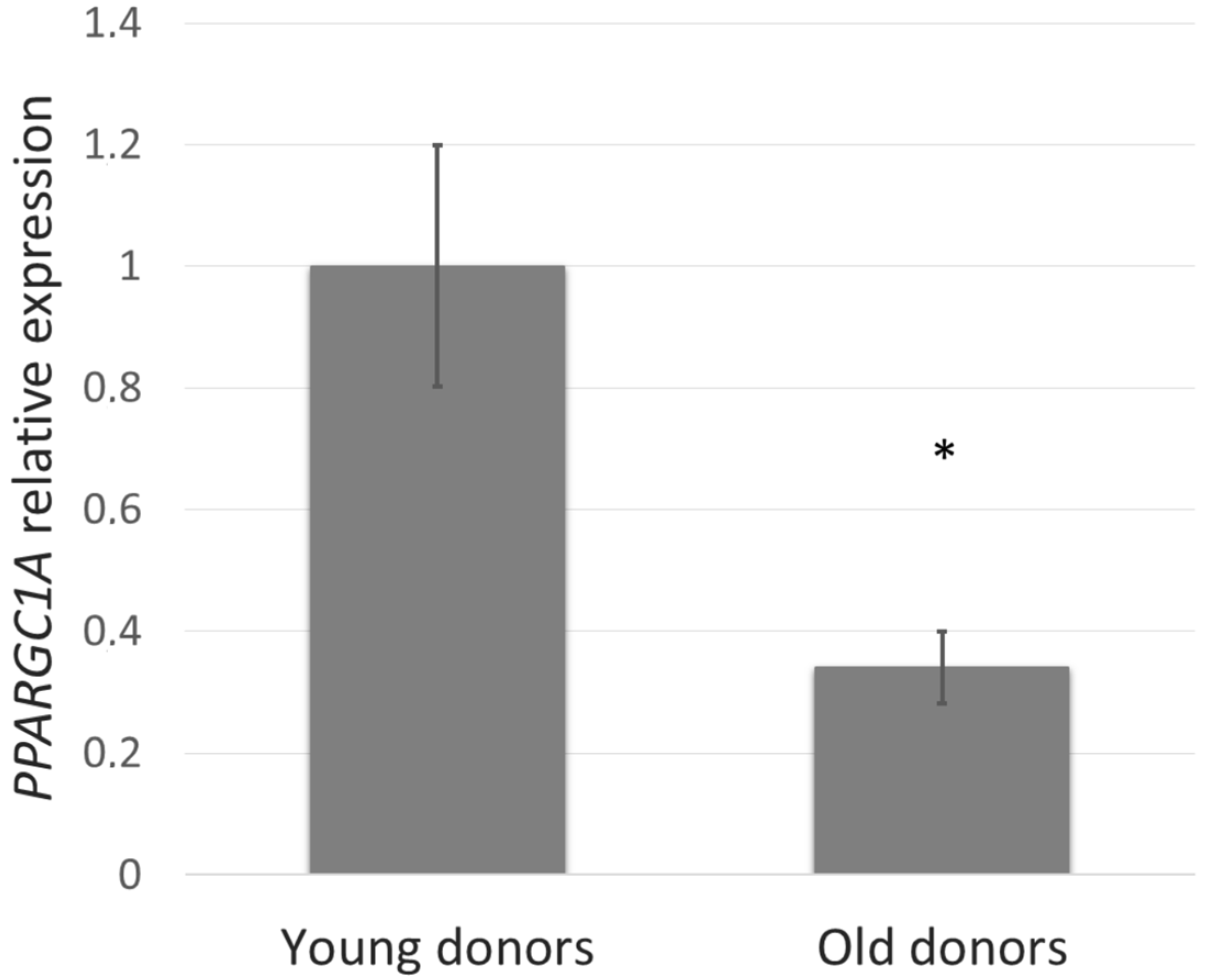 Cosmetics 05 00018 g001