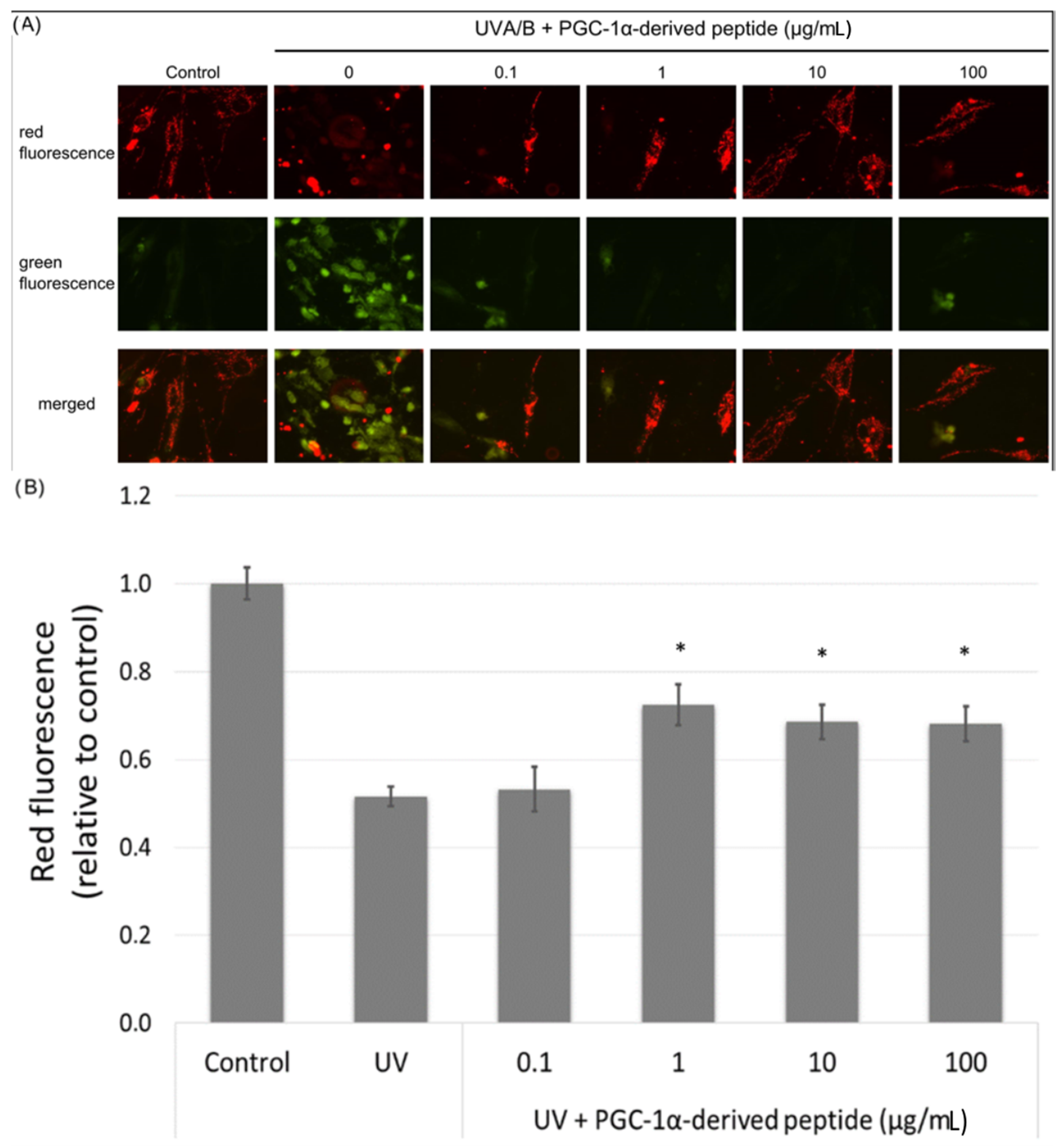 Cosmetics 05 00018 g005
