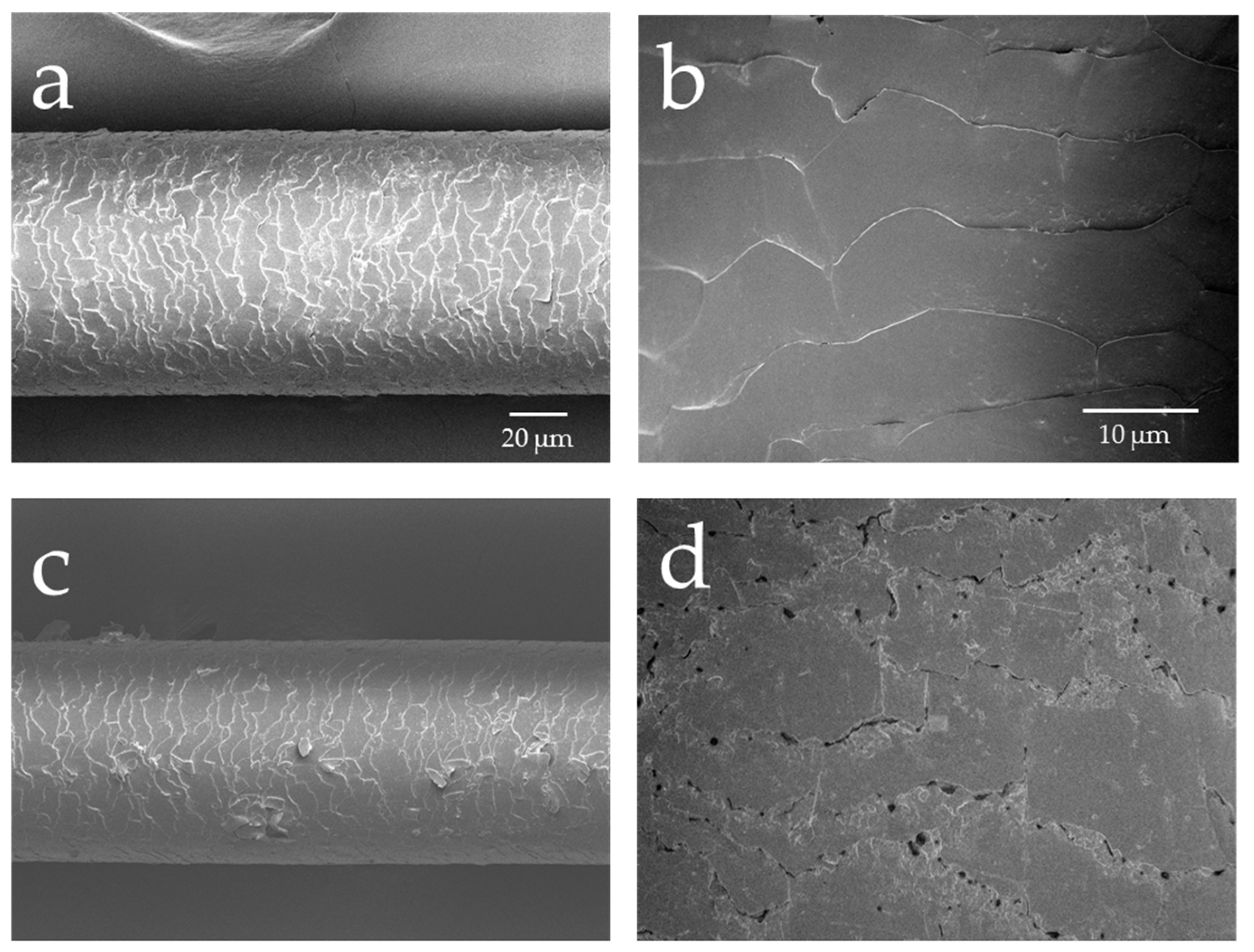 Cosmetics 05 00024 g001a