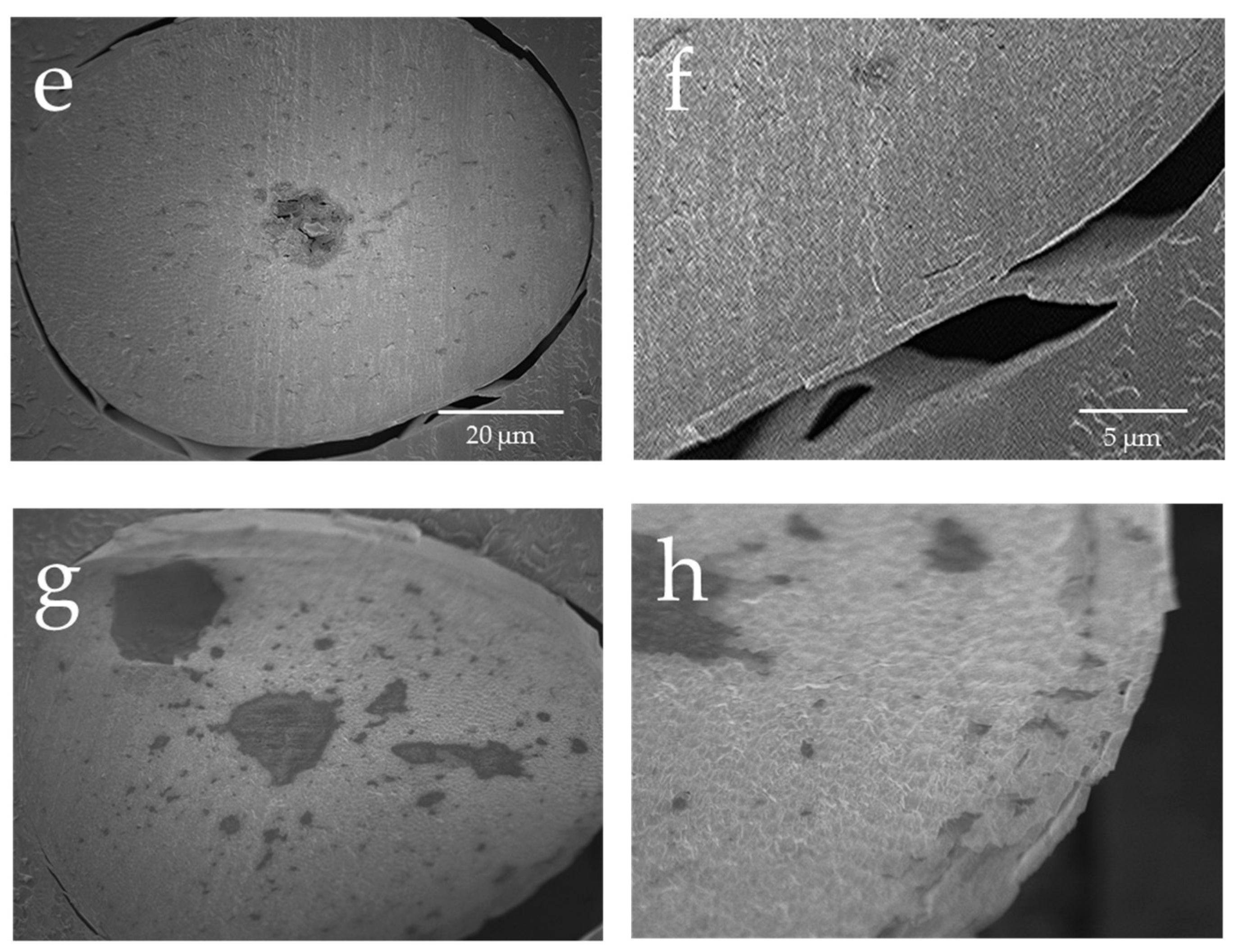 Cosmetics 05 00024 g001b