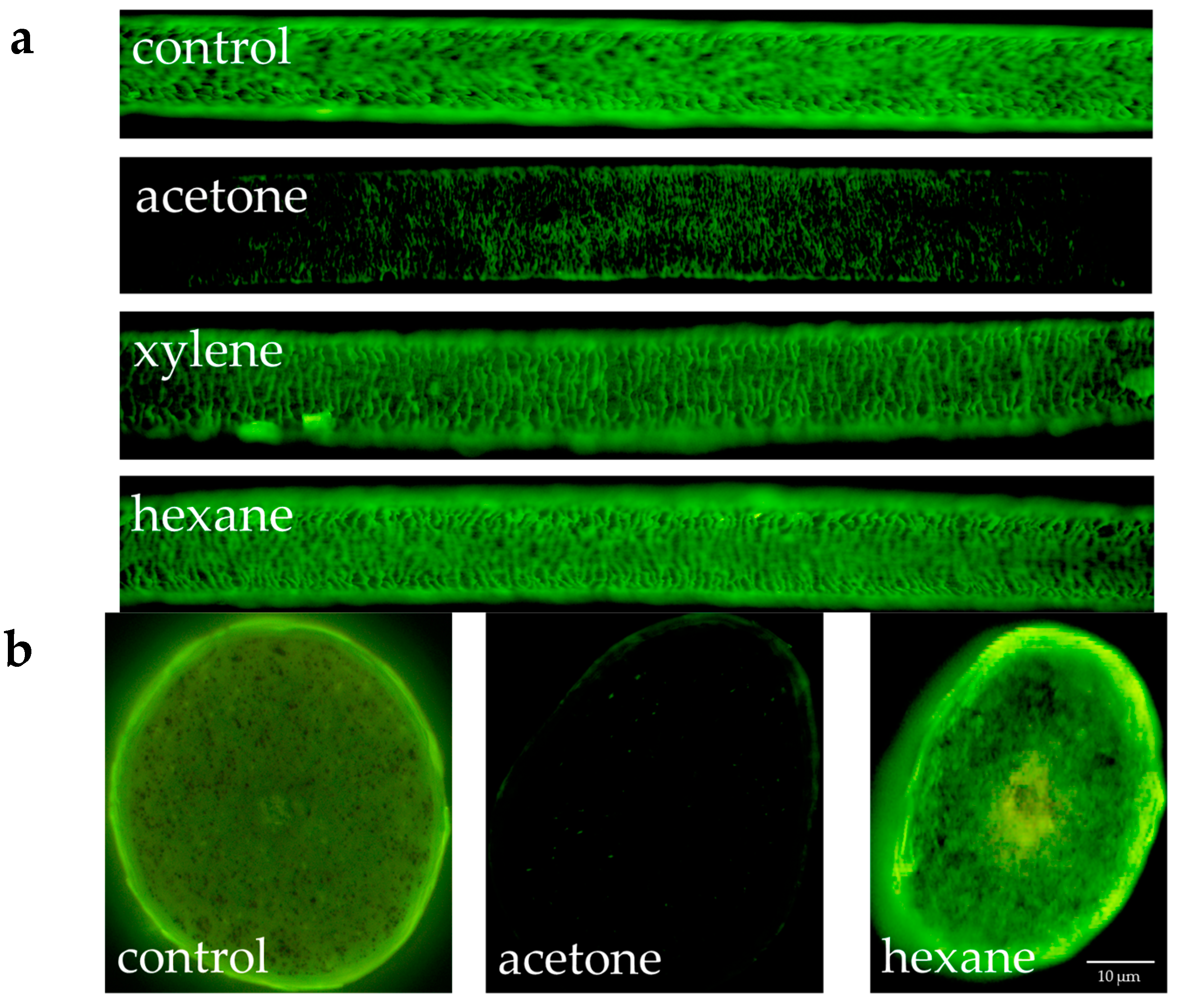 Cosmetics 05 00024 g003