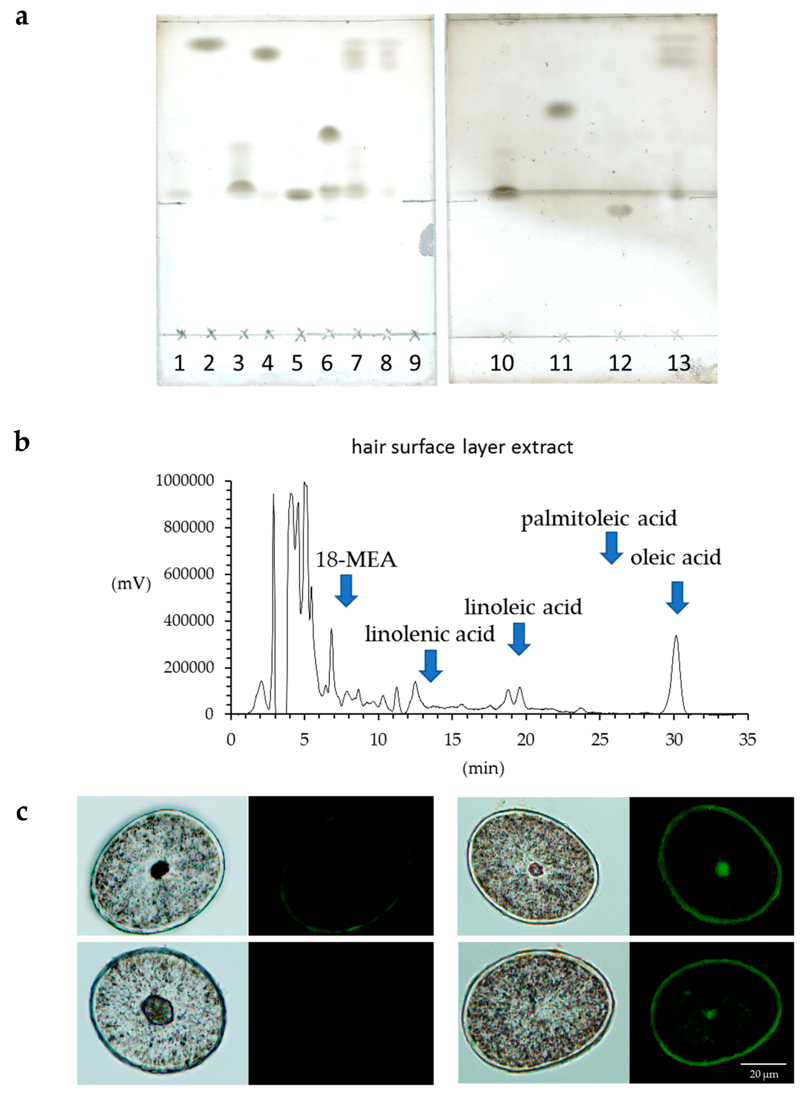 Cosmetics 05 00024 g005