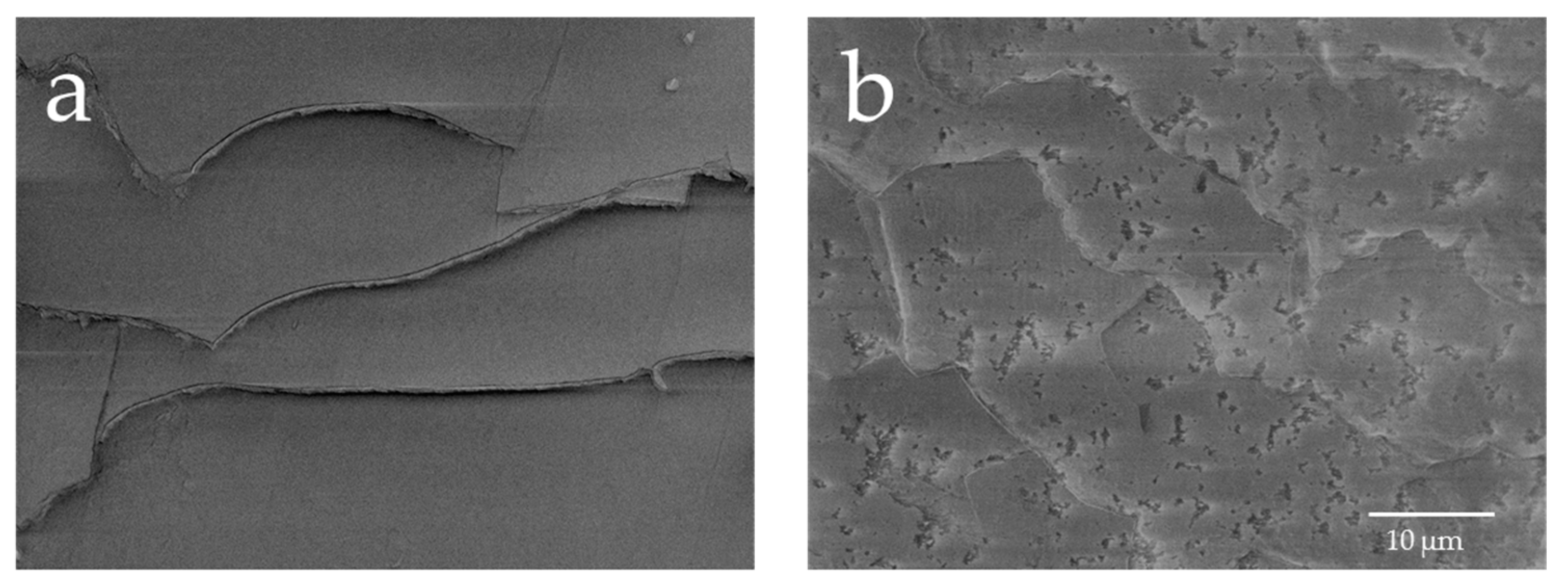 Cosmetics 05 00024 g006