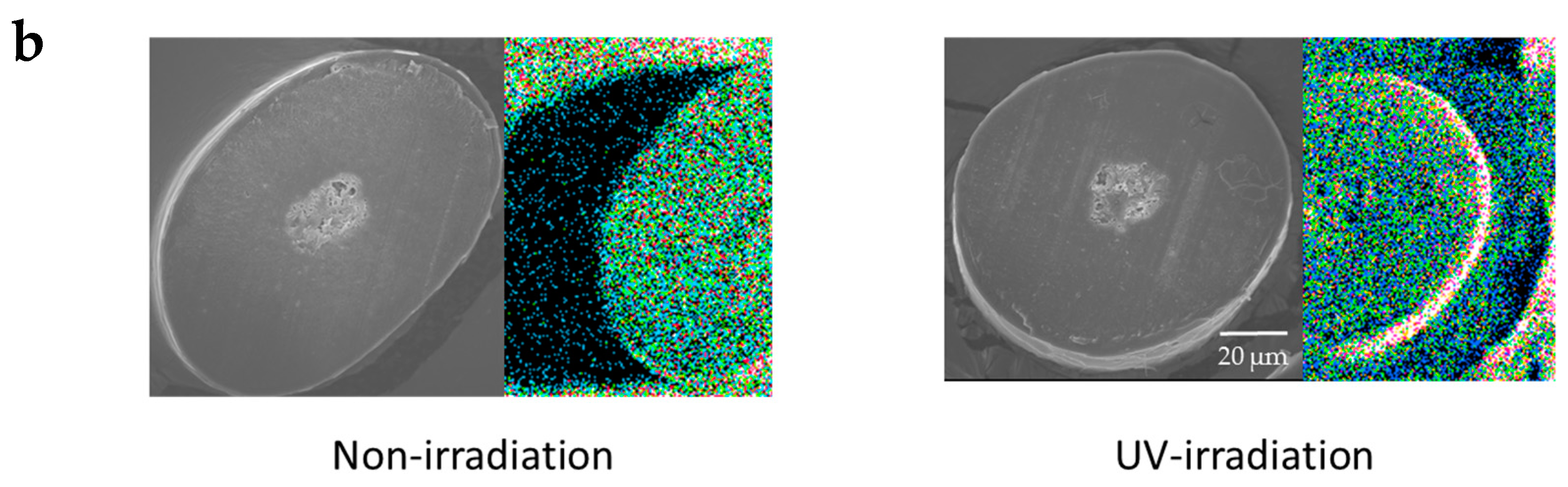 Cosmetics 05 00024 g007b