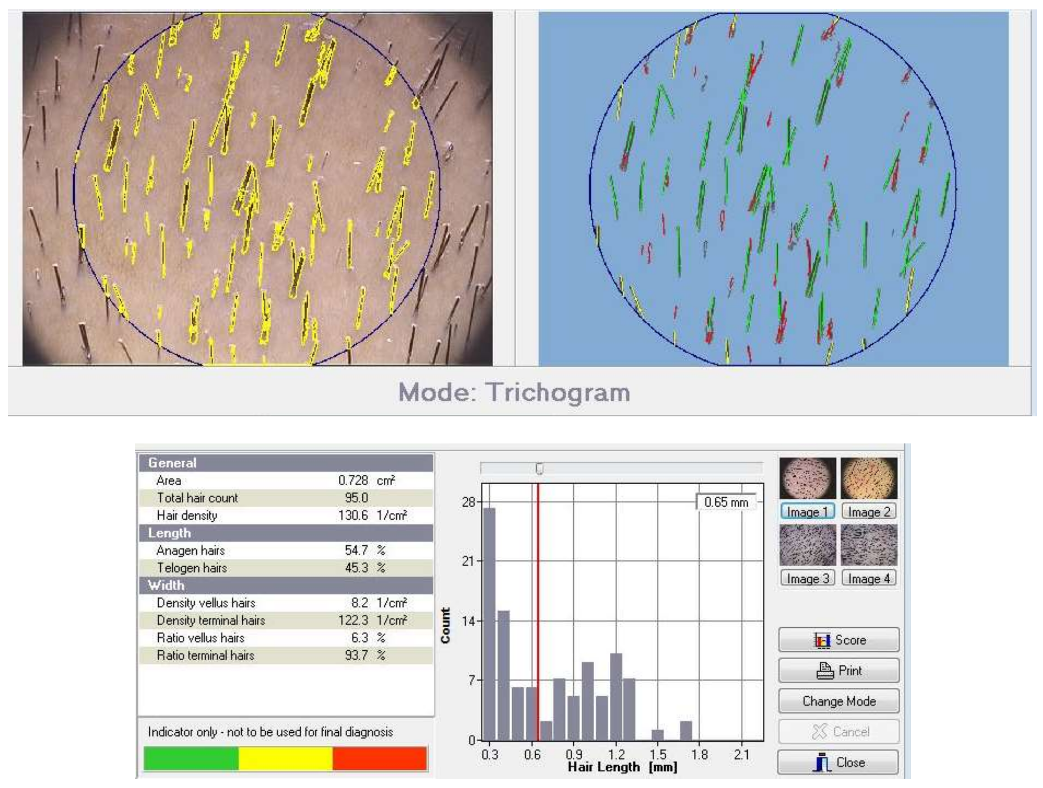 Cosmetics 05 00028 g001