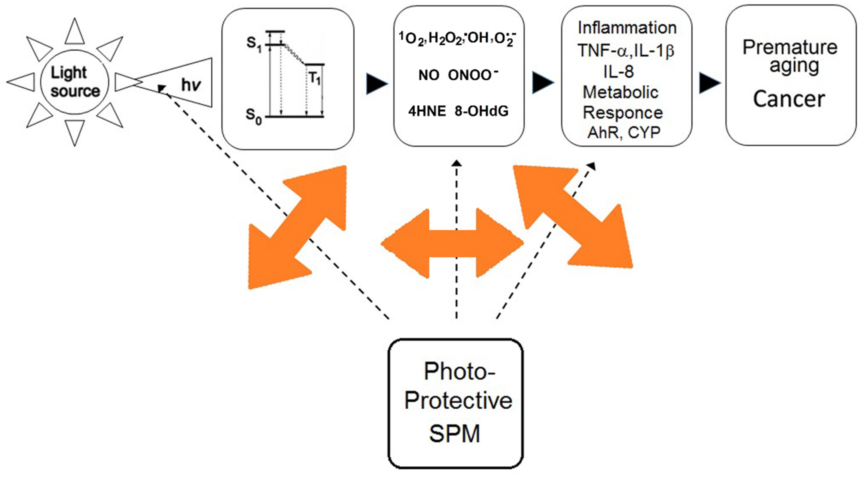 Cosmetics 05 00032 g002