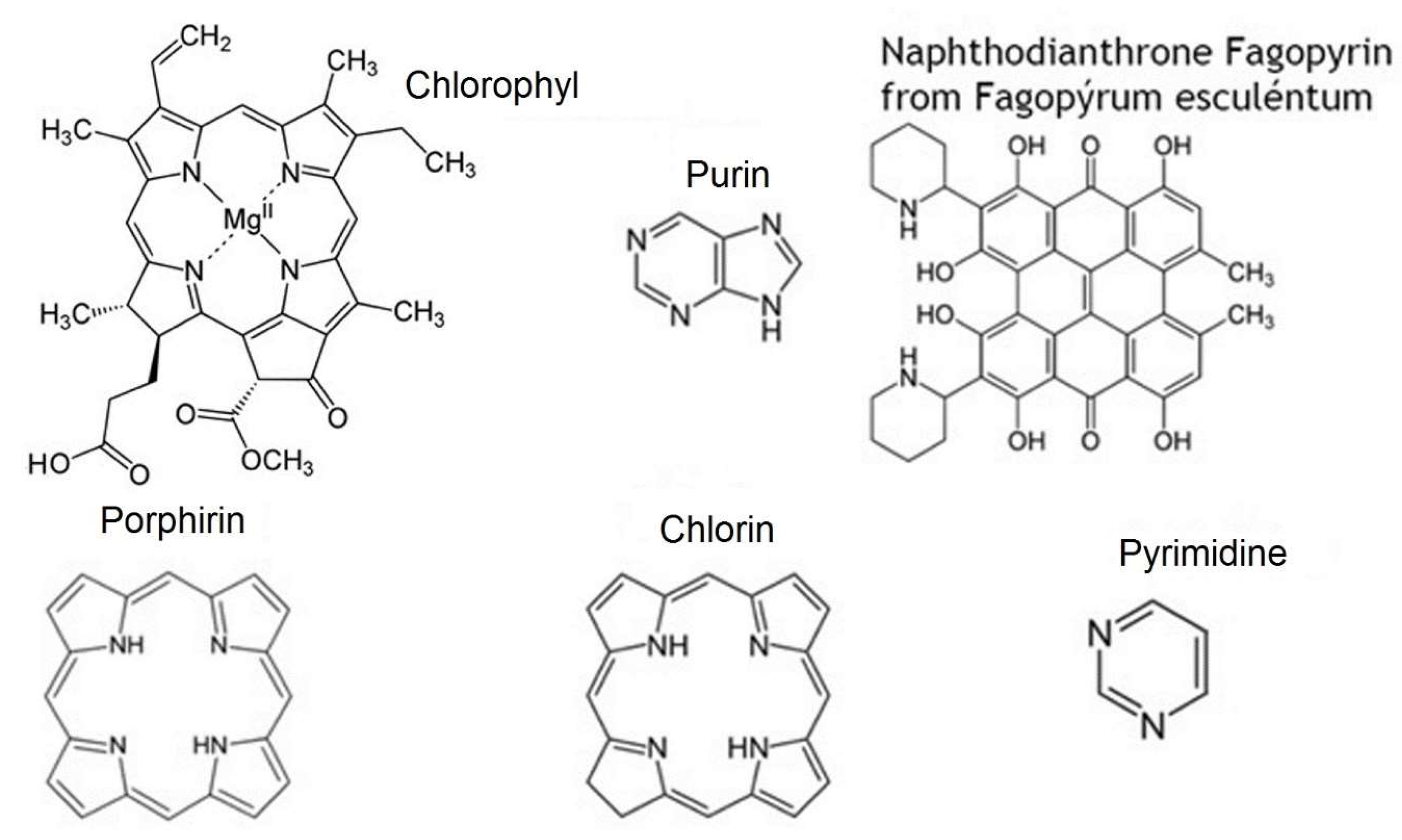 Cosmetics 05 00032 g003
