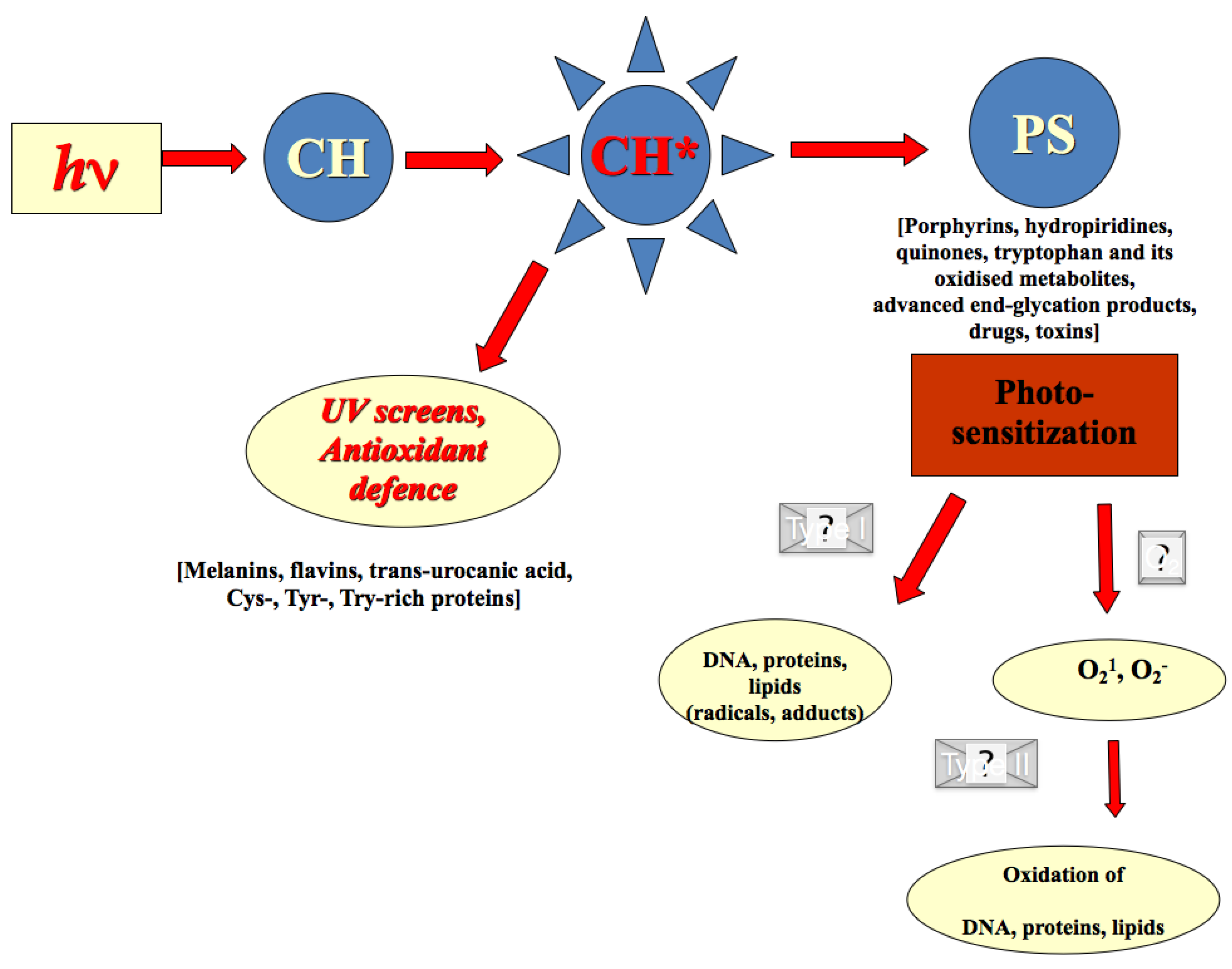 Cosmetics 05 00032 g006