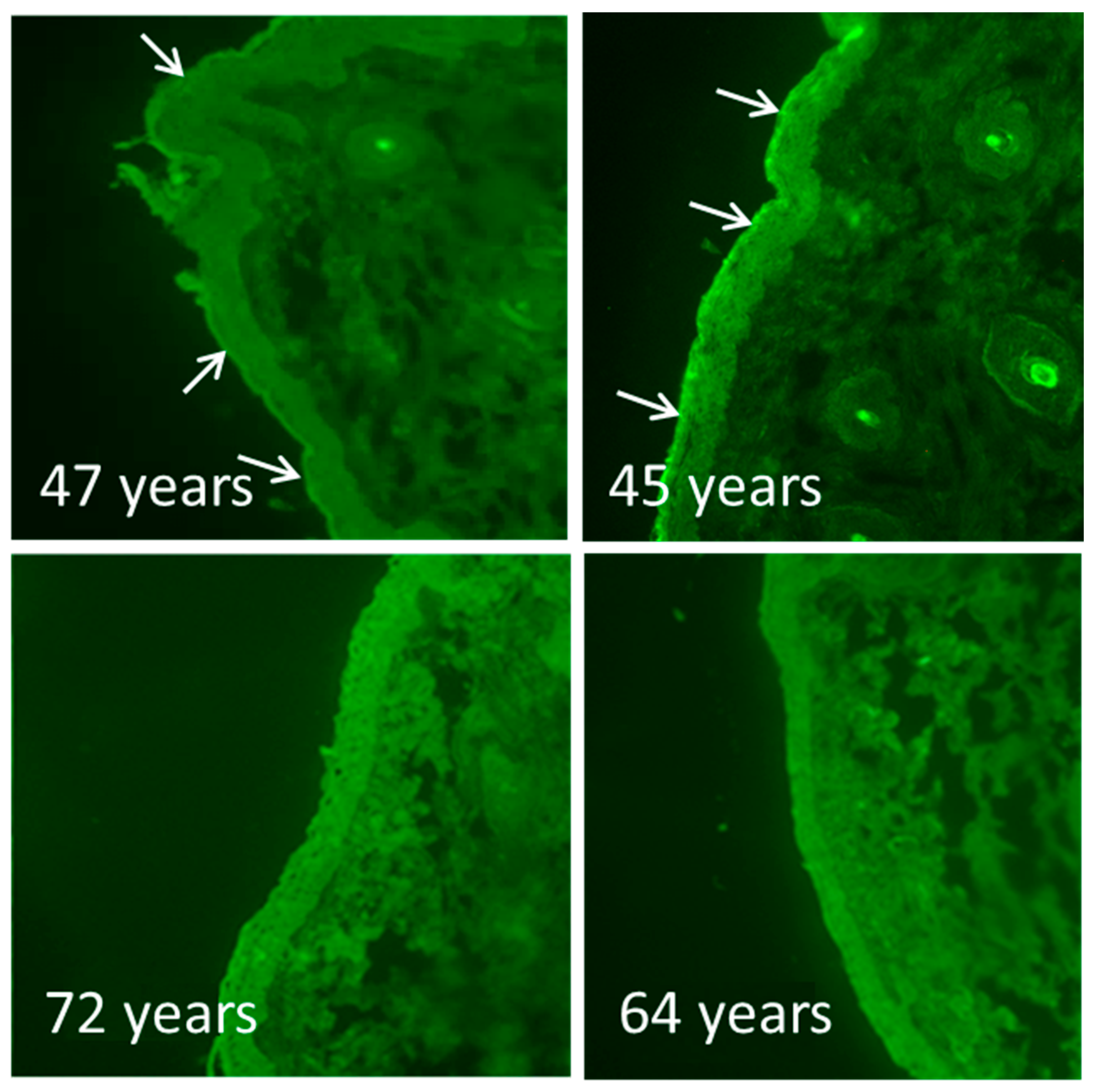 Cosmetics 05 00035 g001