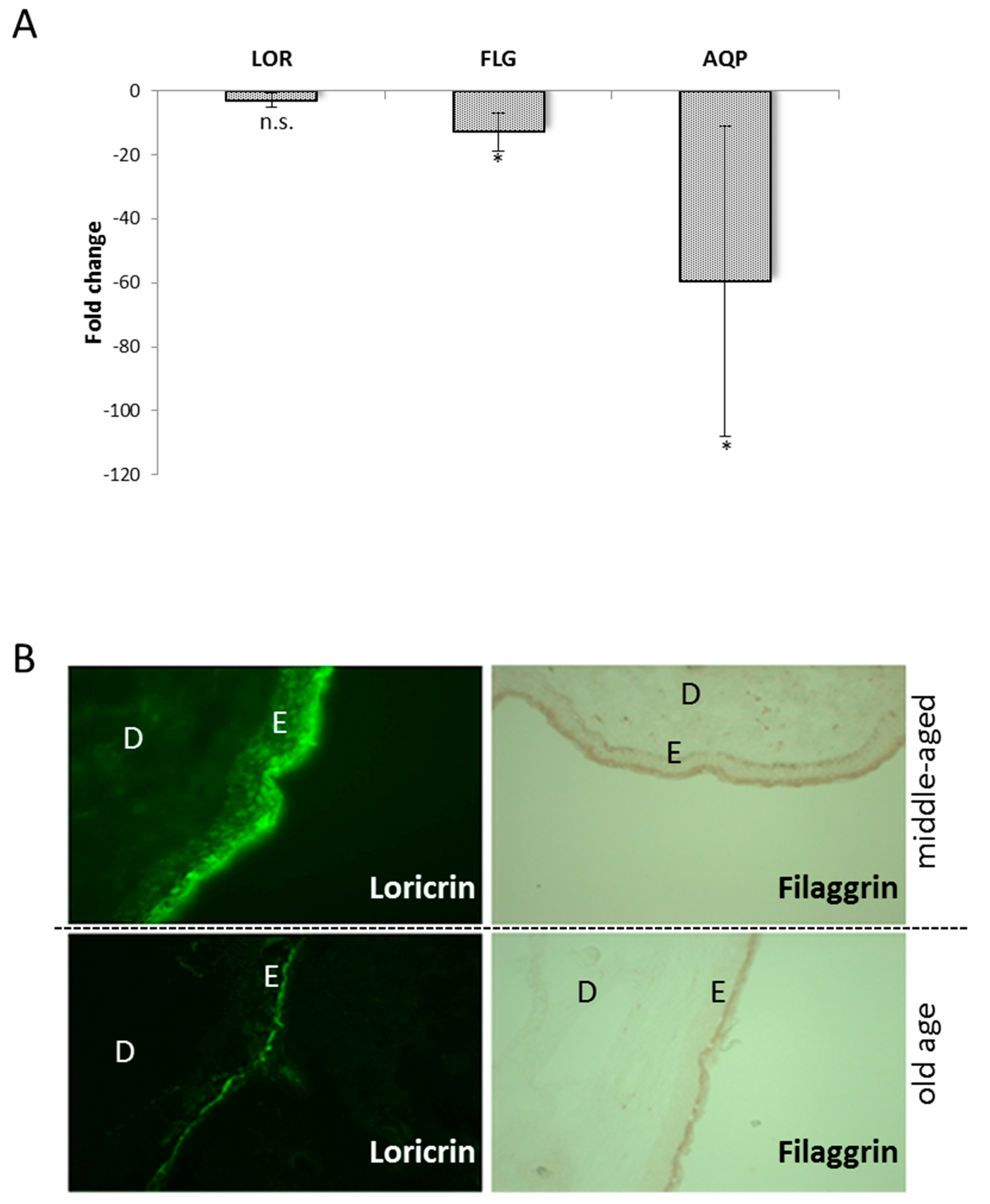 Cosmetics 05 00035 g002