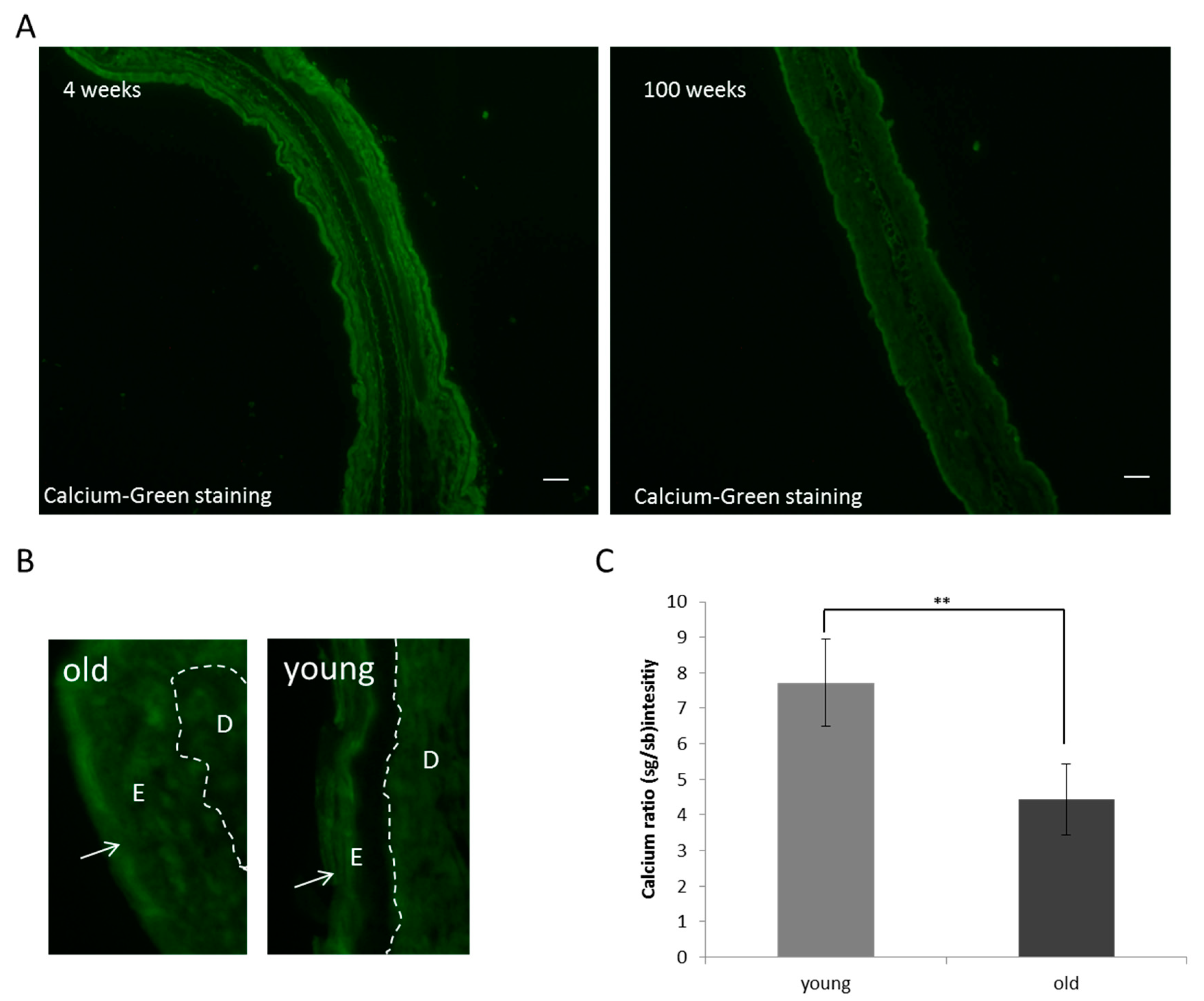 Cosmetics 05 00035 g003