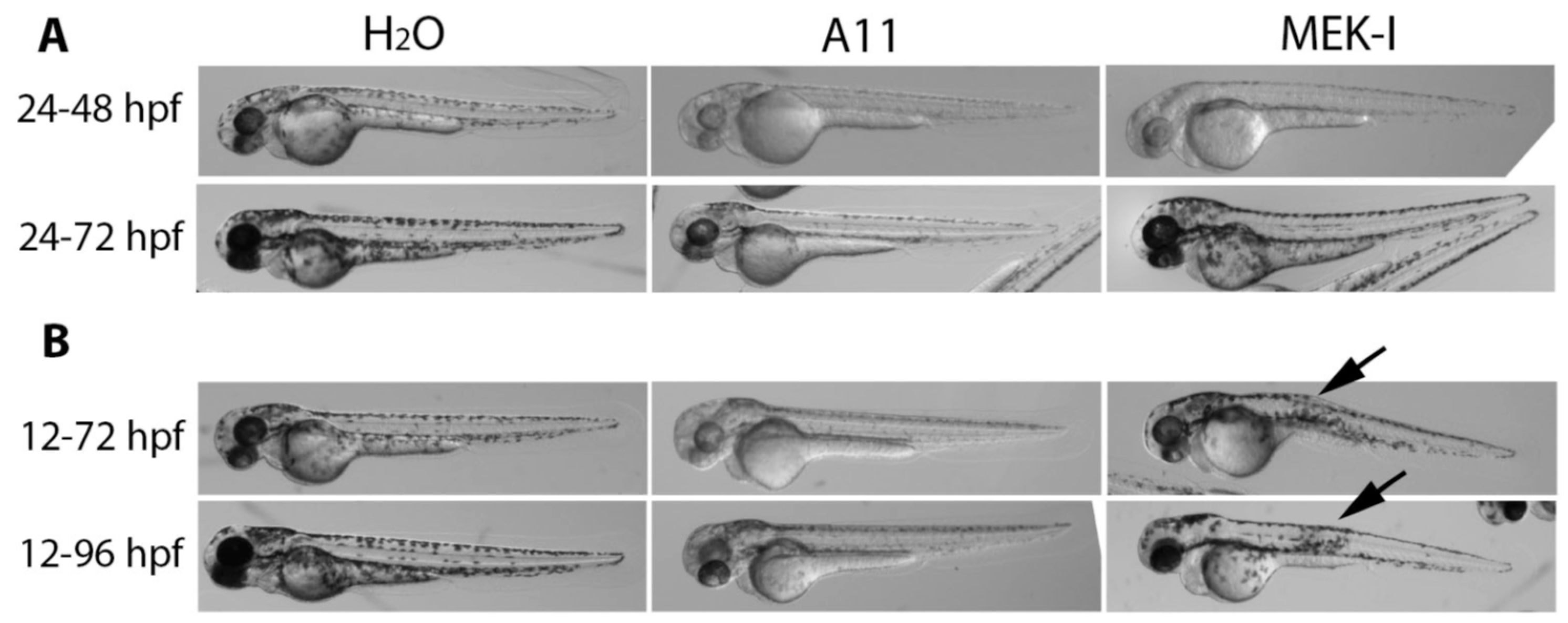 Cosmetics 05 00045 g002