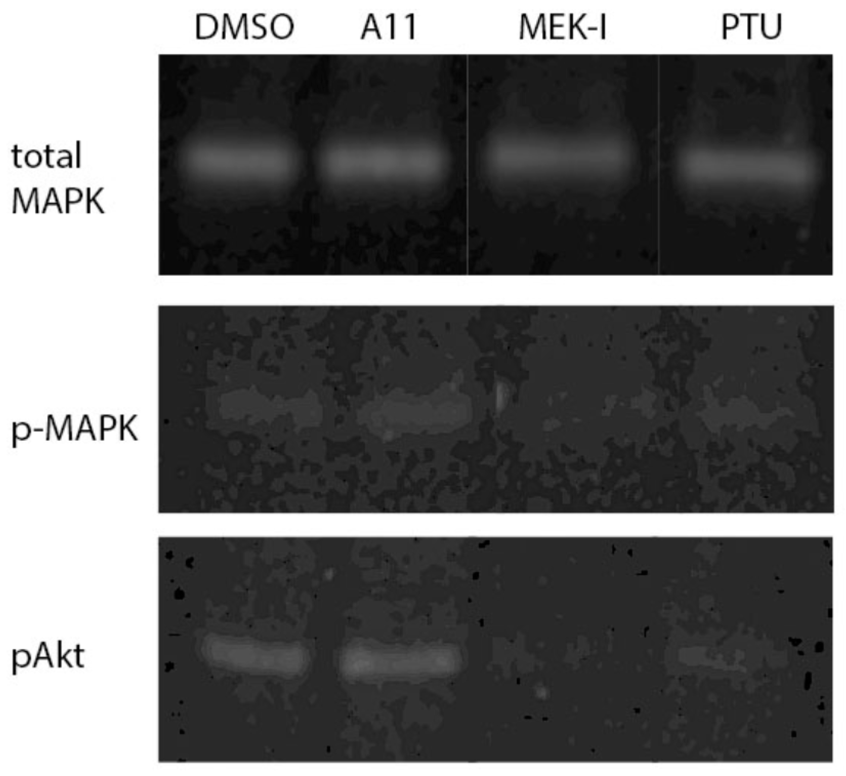 Cosmetics 05 00045 g008