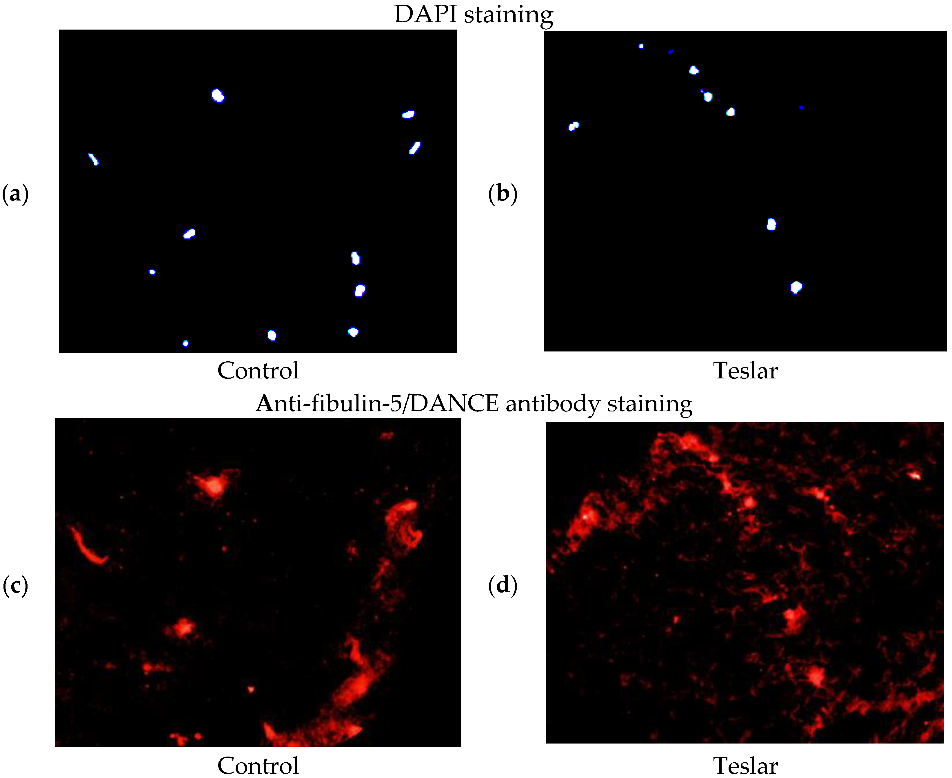 Cosmetics 05 00049 g006 Cosmetics 05 00049 g006