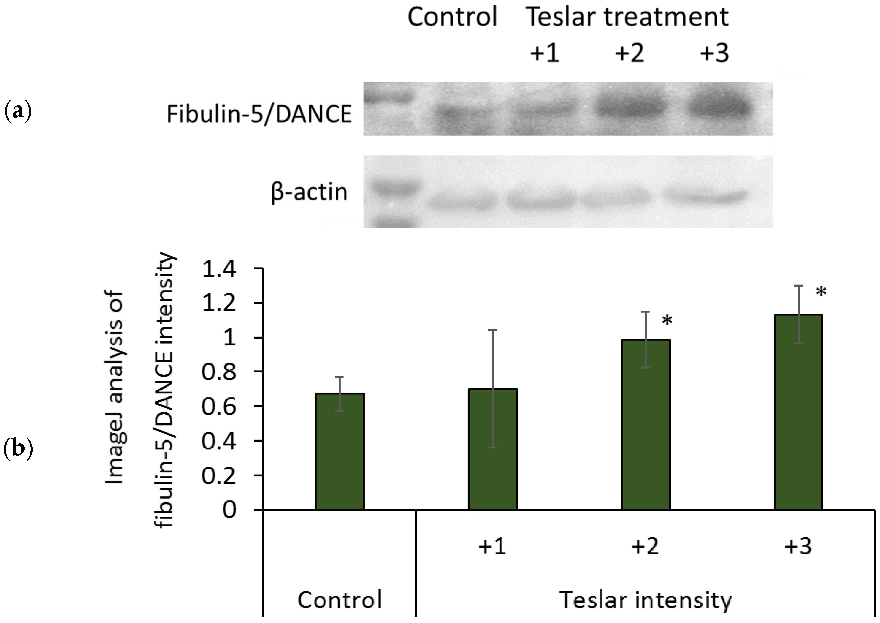 Cosmetics 05 00049 g007 Cosmetics 05 00049 g007
