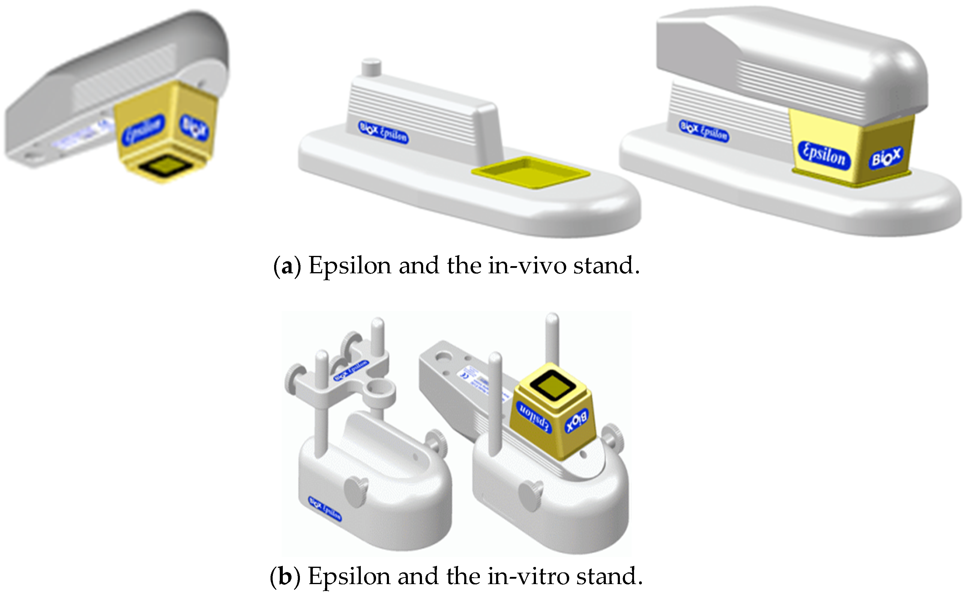 Cosmetics 05 00052 g001a