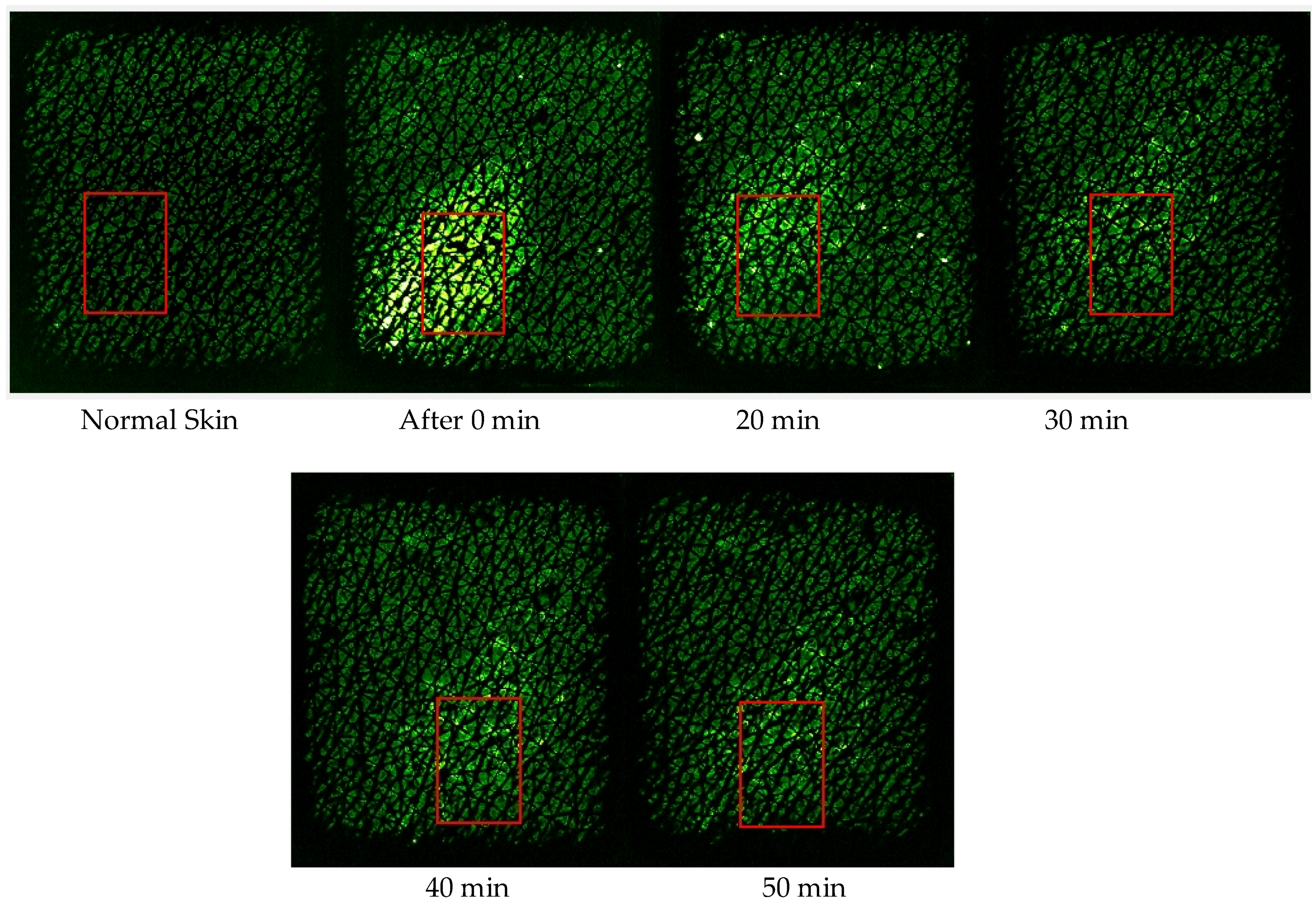 Cosmetics 05 00052 g003