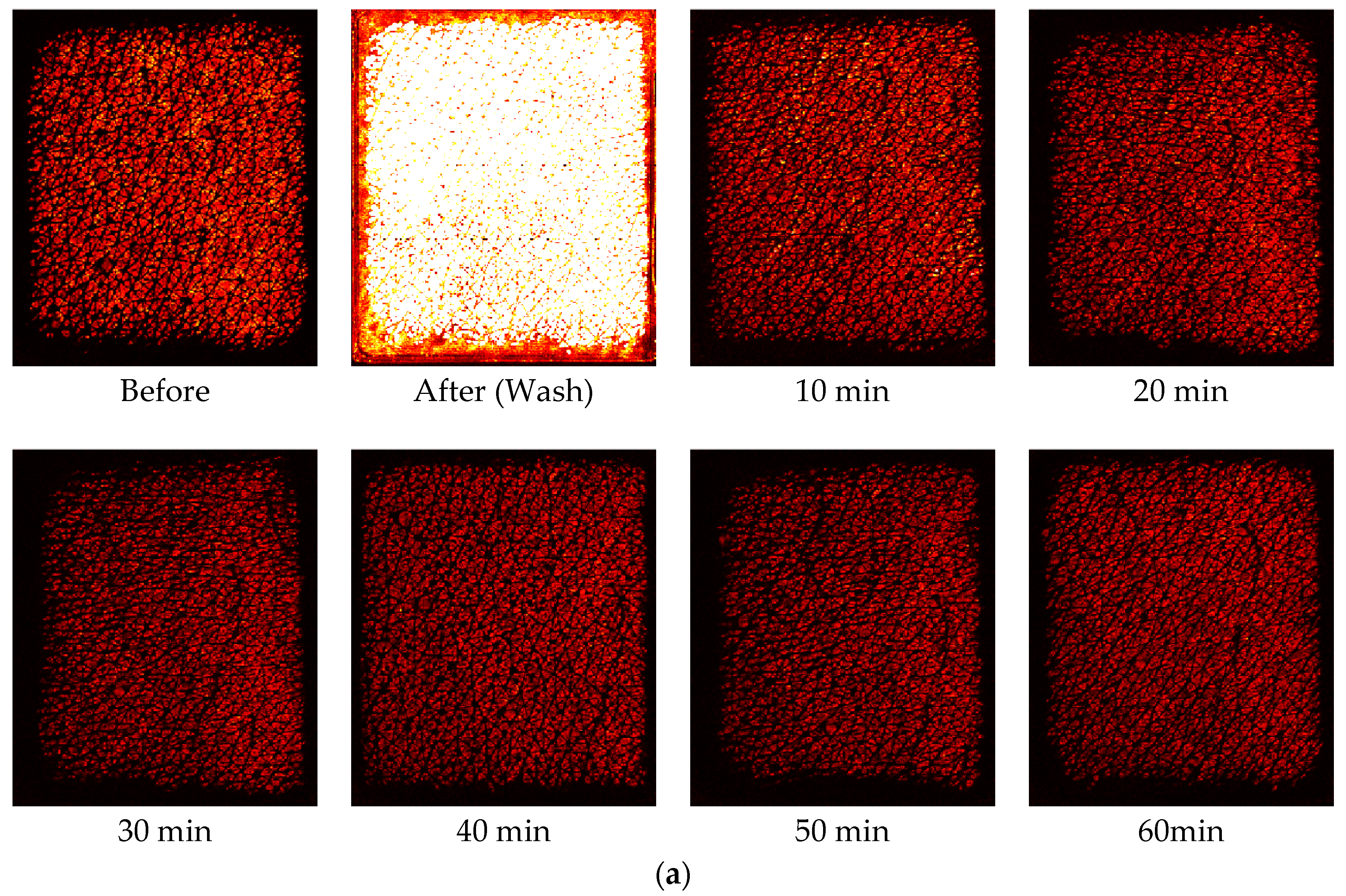 Cosmetics 05 00052 g005a