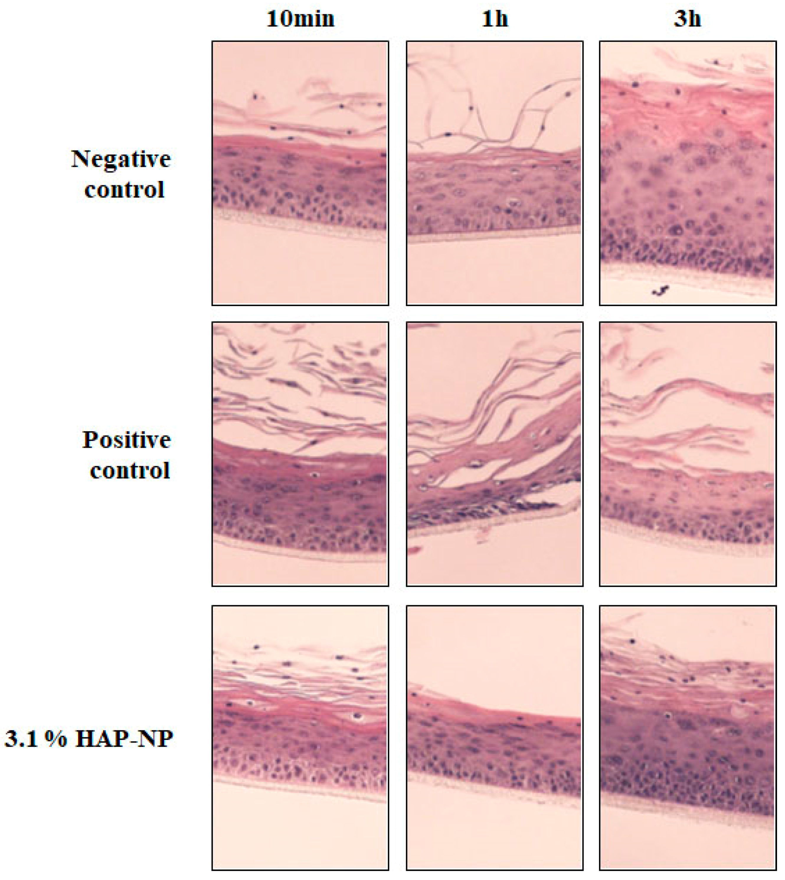 Cosmetics 05 00053 g003