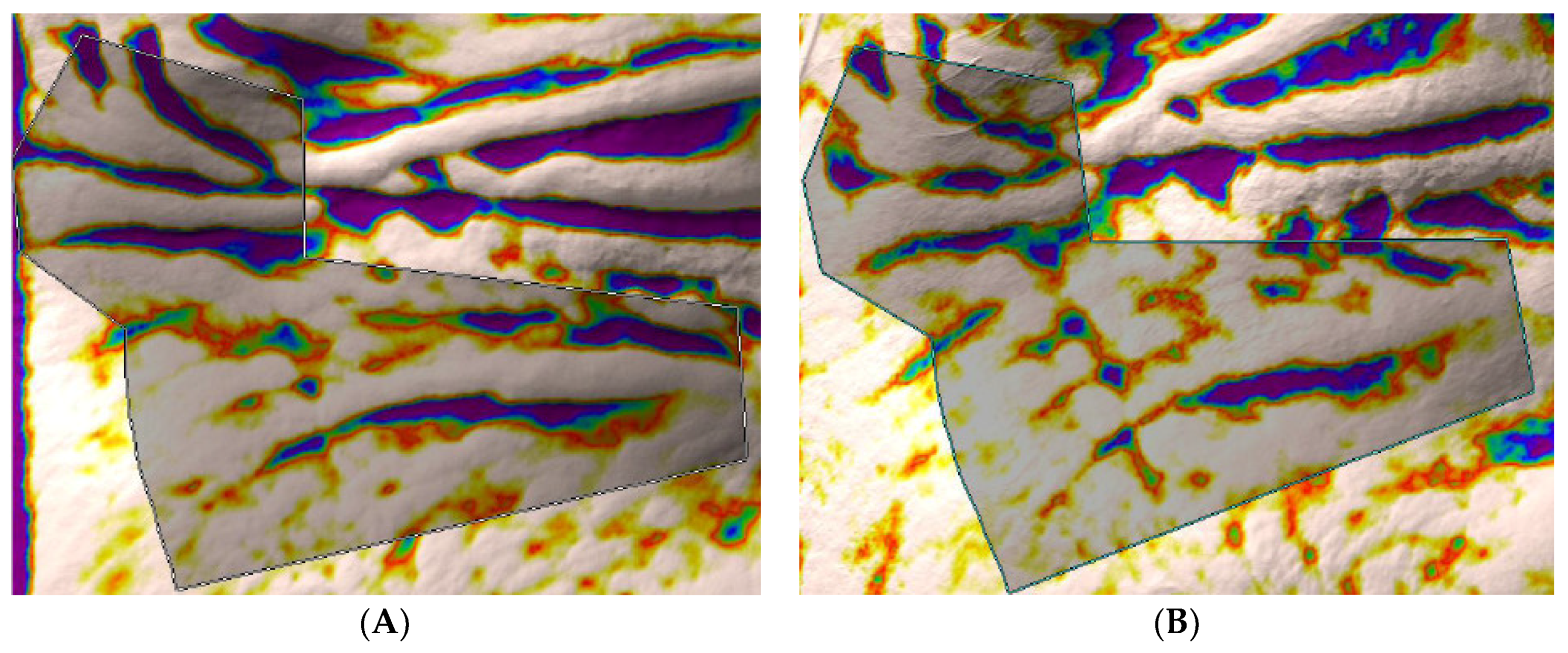 Cosmetics 05 00060 g002 Cosmetics 05 00060 g002