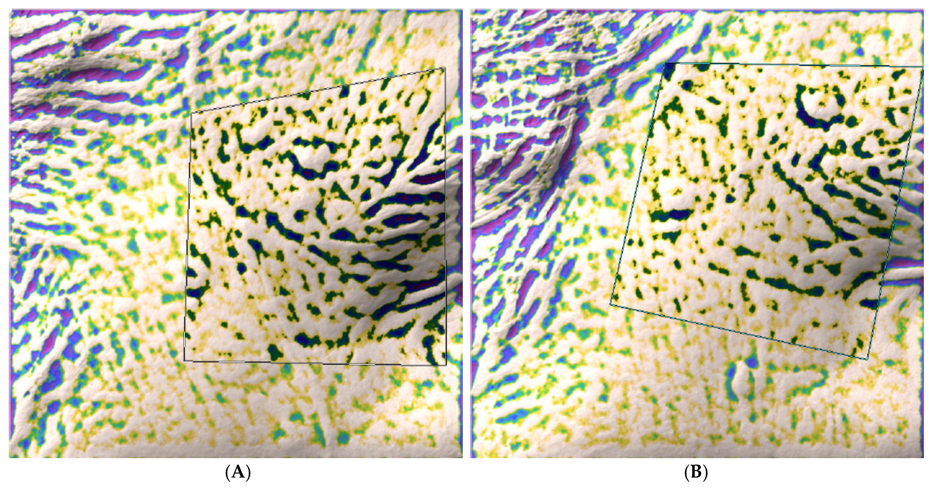 Cosmetics 05 00060 g003 Cosmetics 05 00060 g003