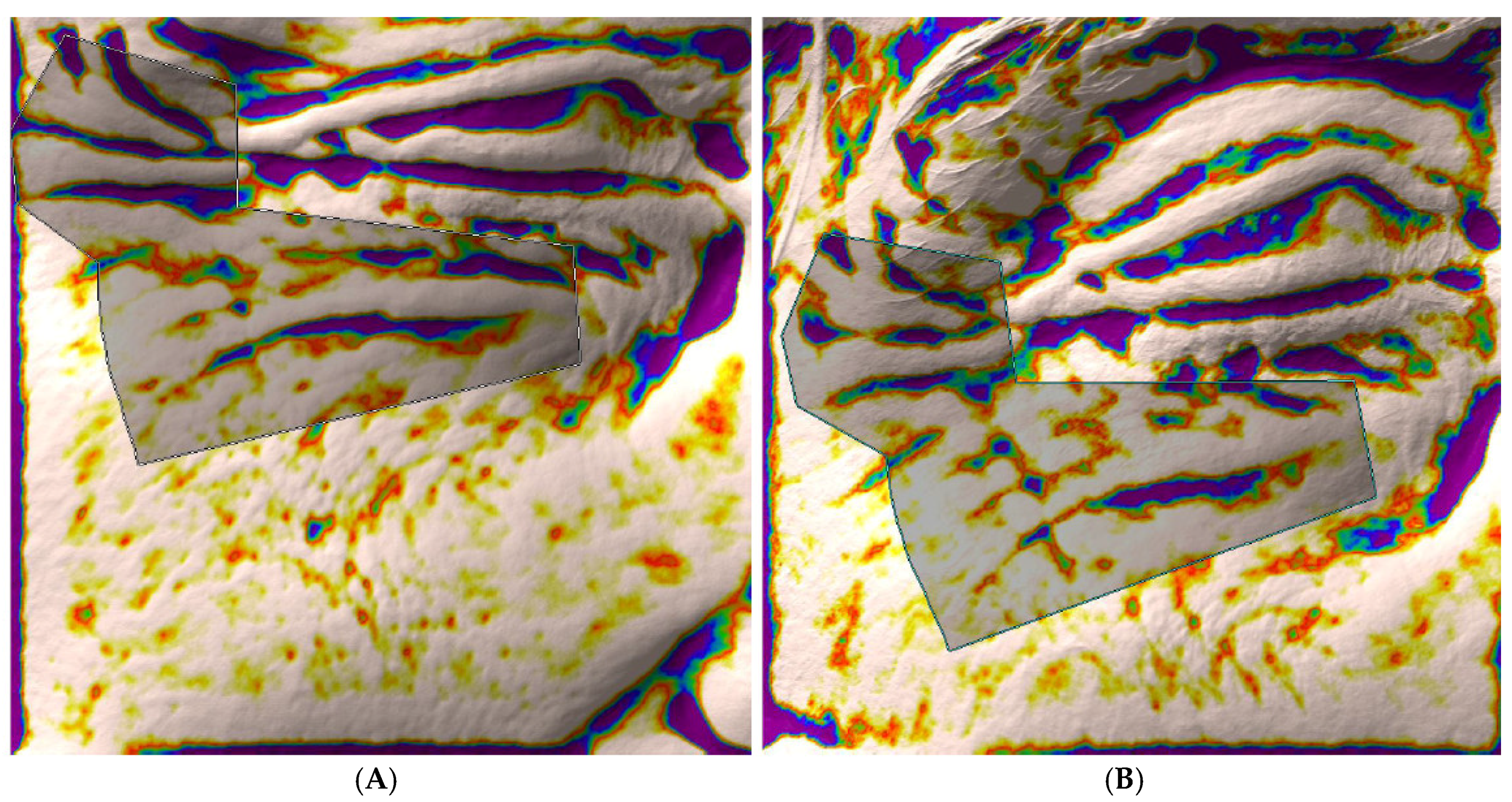 Cosmetics 05 00060 g004 Cosmetics 05 00060 g004