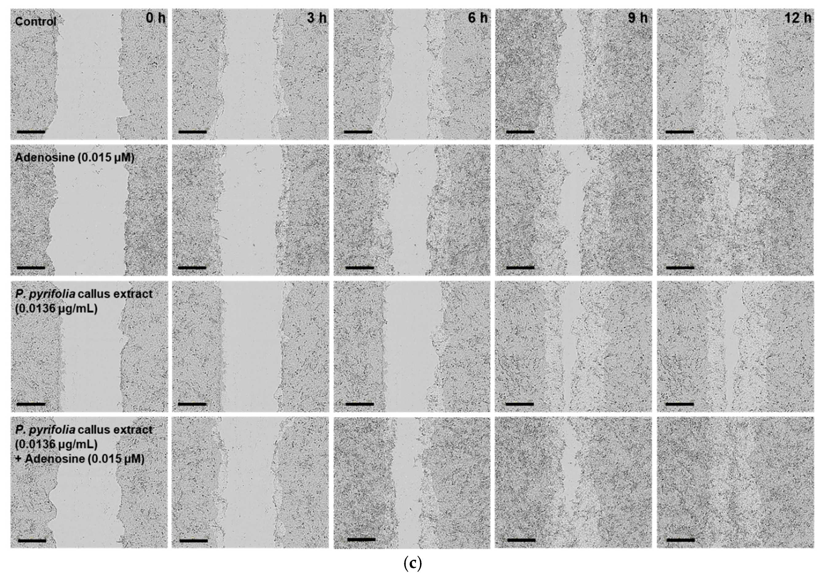 Cosmetics 05 00071 g006b