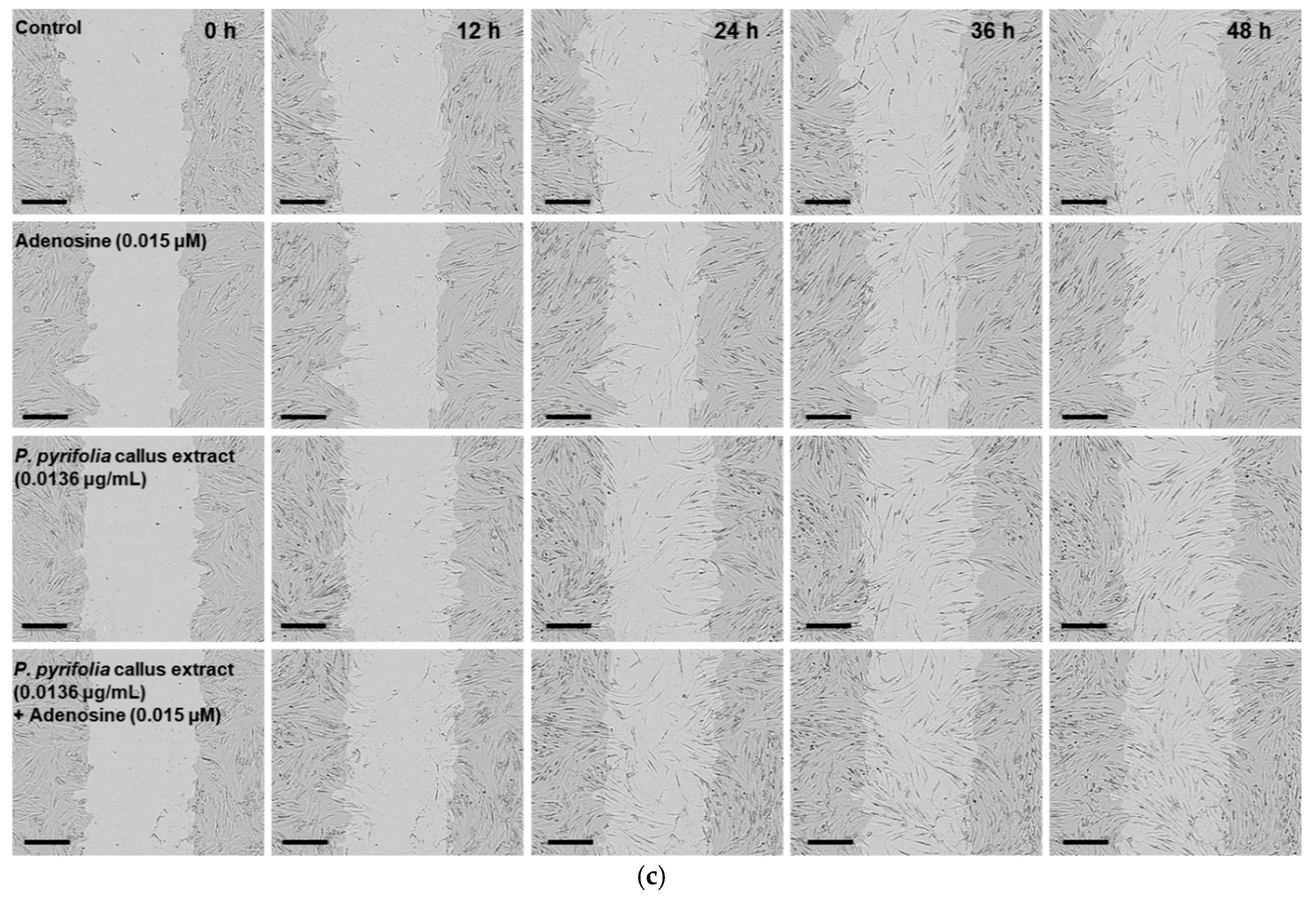 Cosmetics 05 00071 g007b