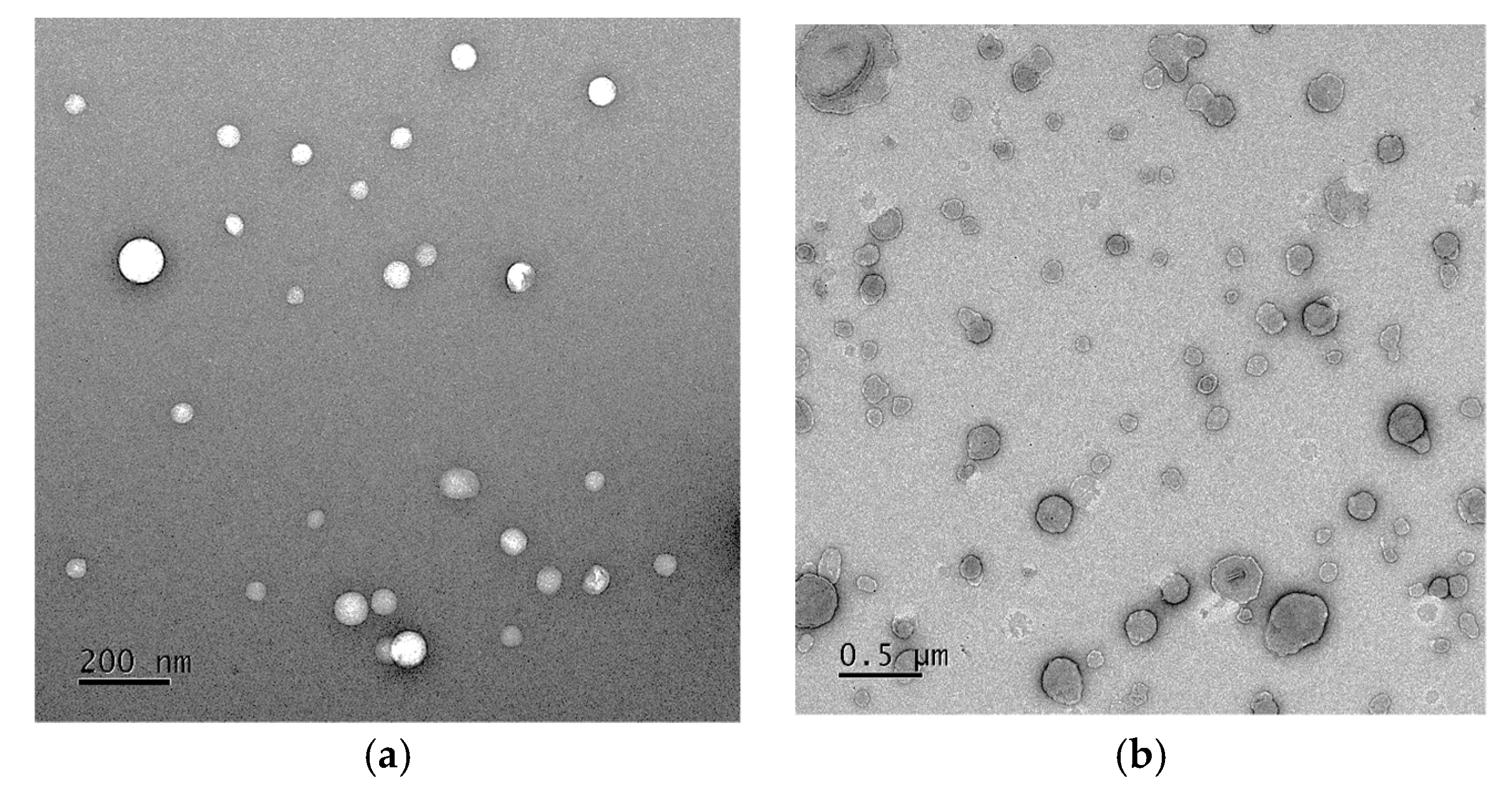 Cosmetics 05 00071 g008