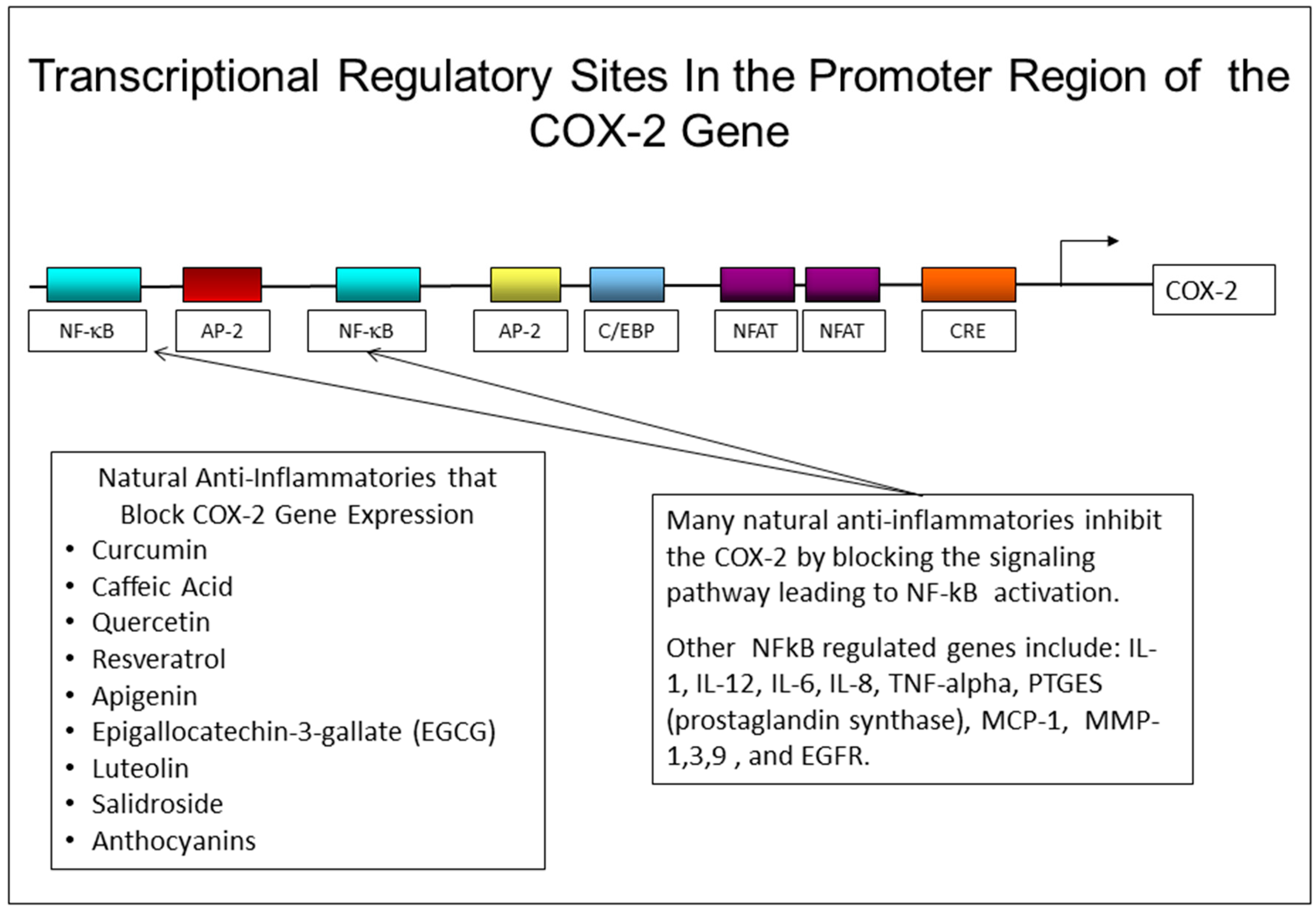 Cosmetics 06 00006 g004