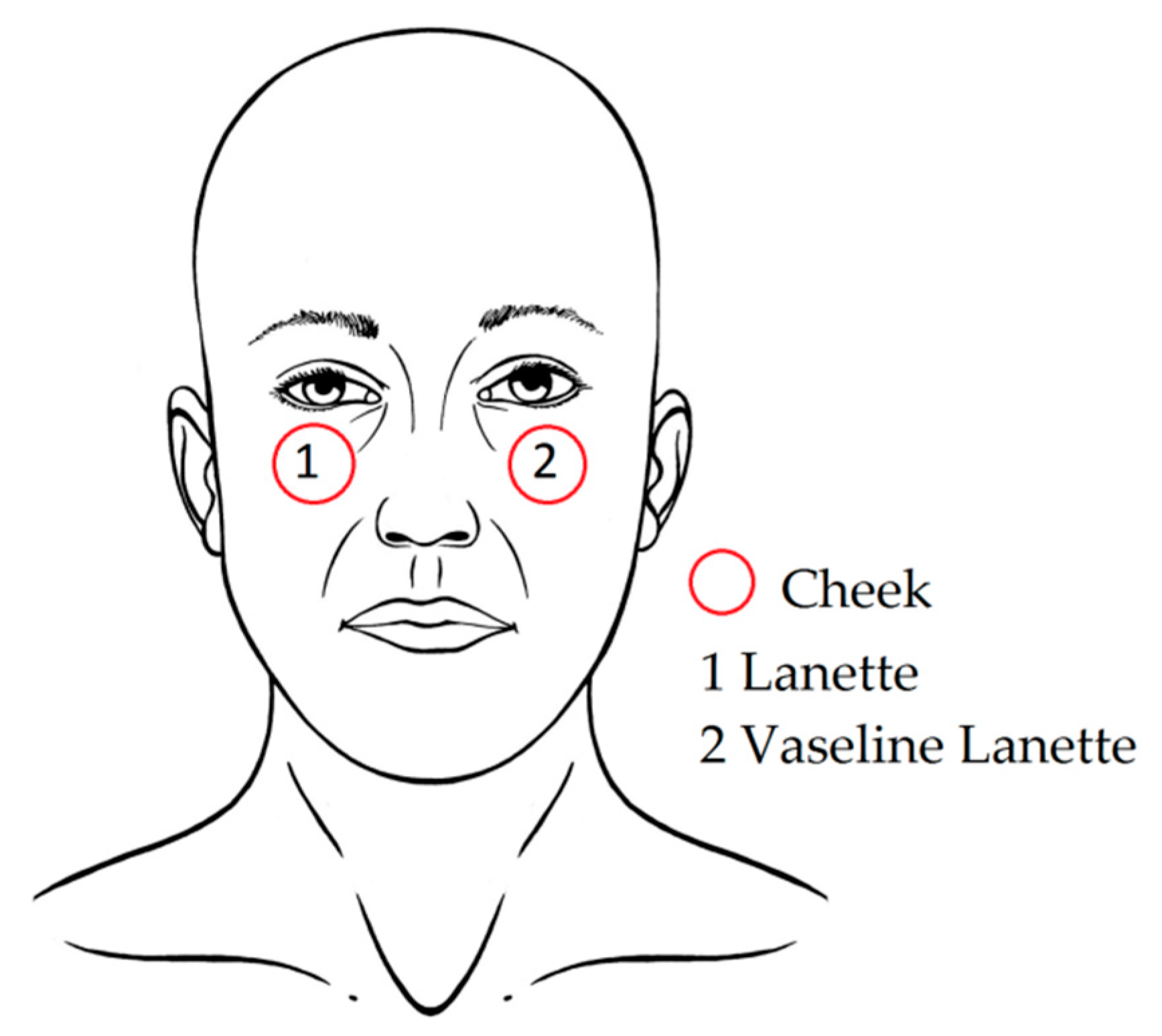 Cosmetics 06 00020 g001