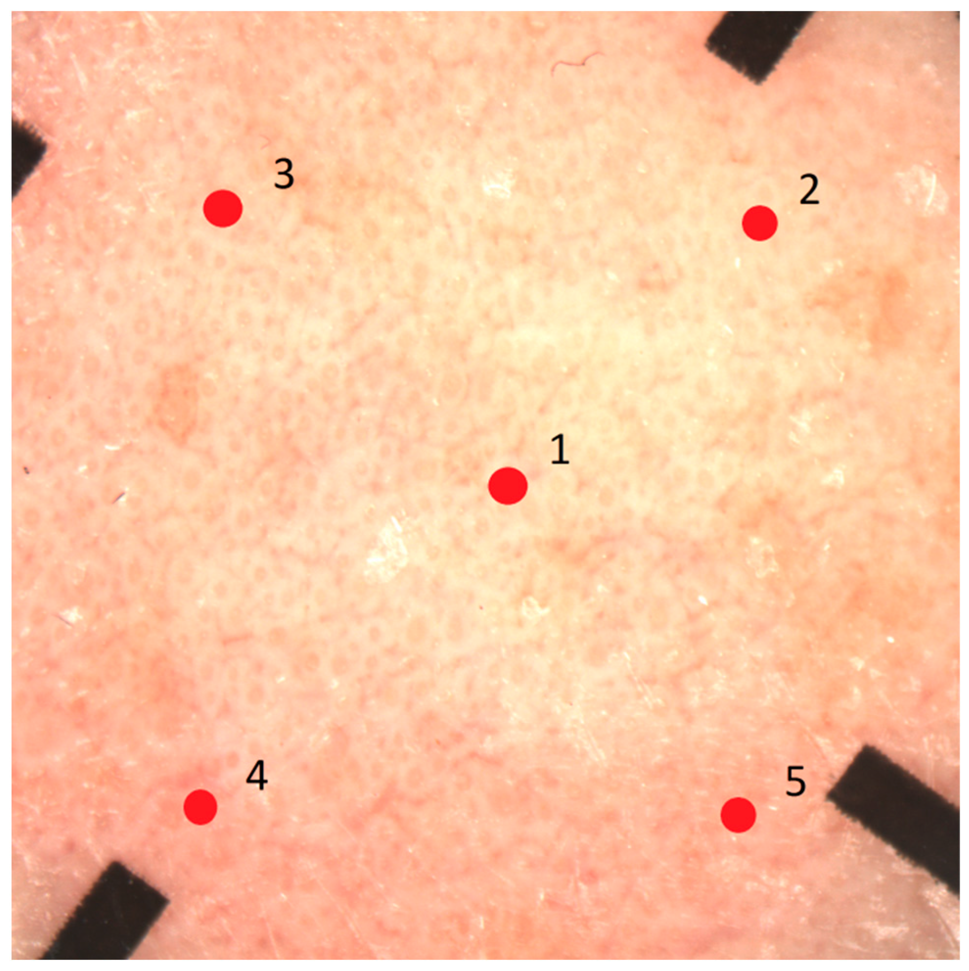 Cosmetics 06 00020 g002