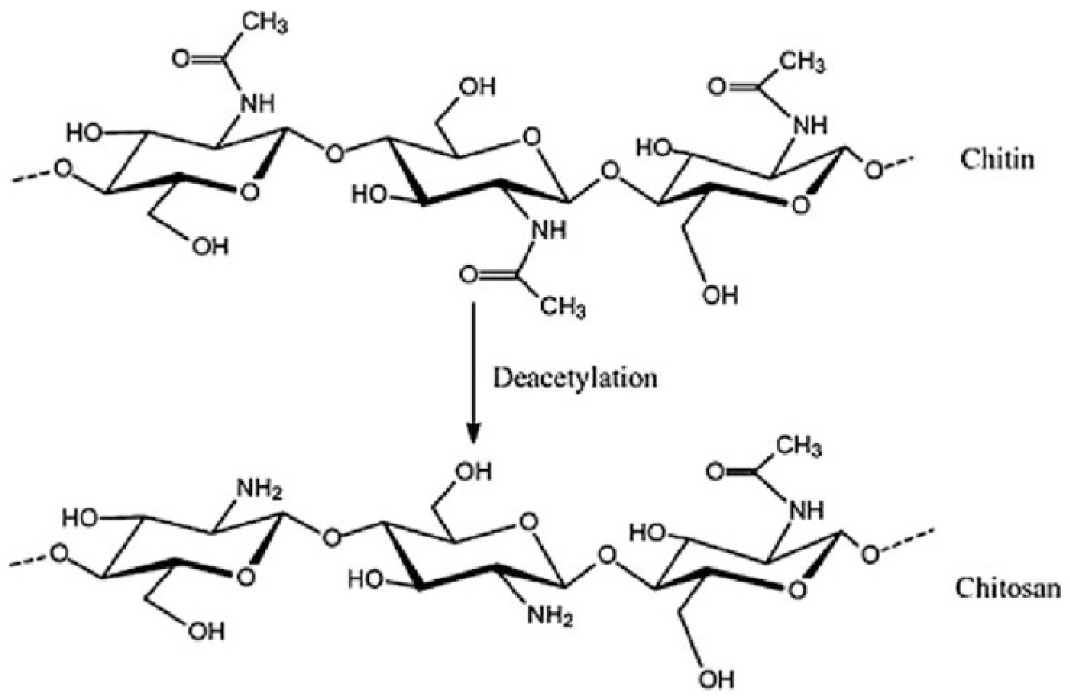 Cosmetics 06 00026 g006